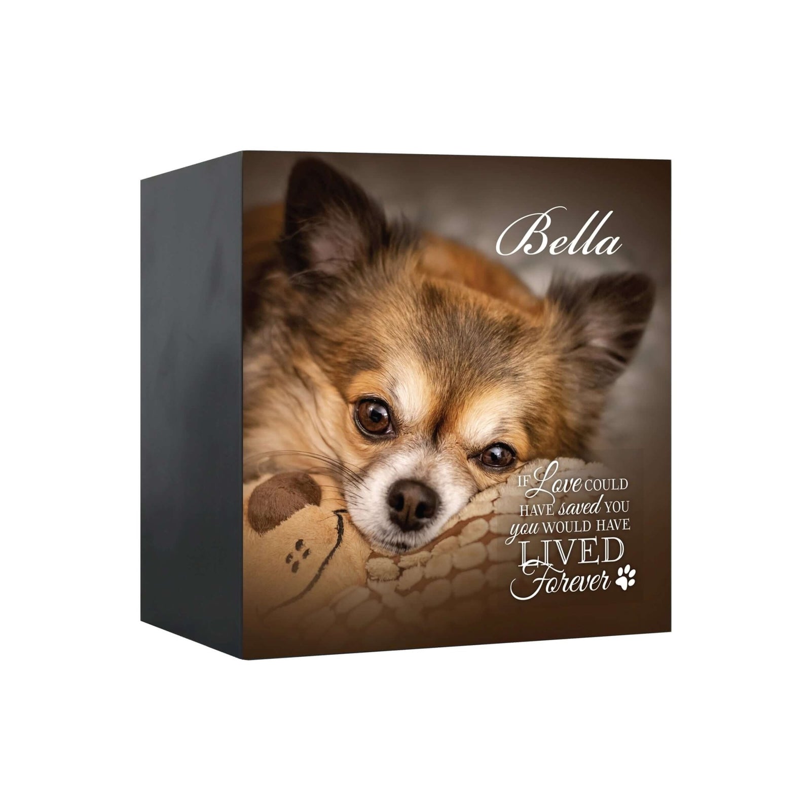 Close-up view of a Lifesong Milestones shadow box urn for dog ashes, featuring a custom photo of Bella and the touching inscription 'If love could have saved you, you would have lived forever.' A high-quality wooden pet urn for ashes and a meaningful bereavement gift for someone who lost a pet.