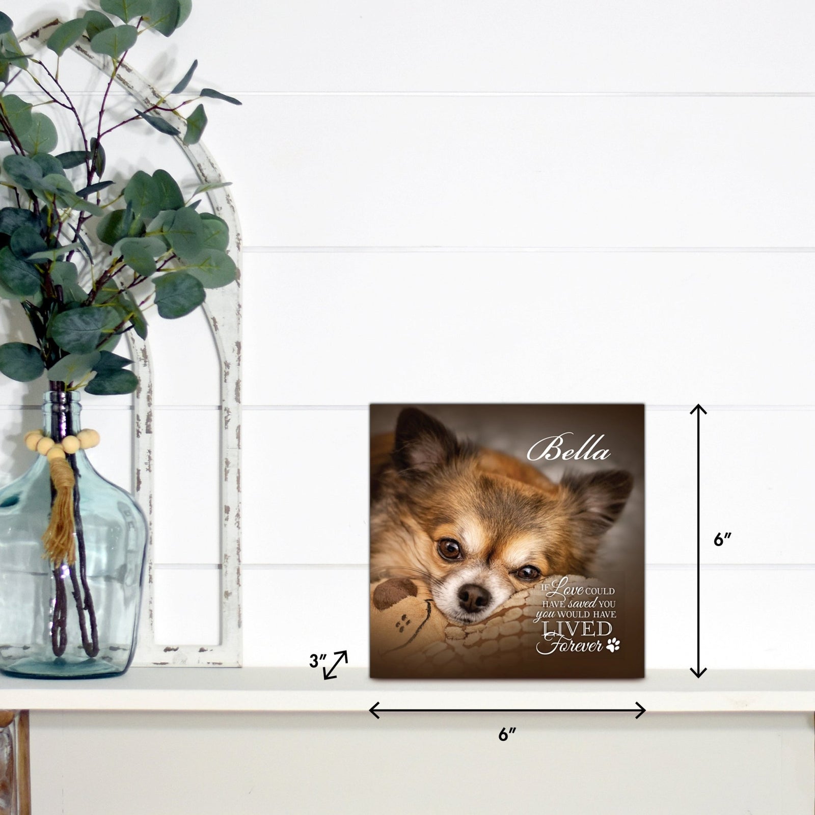 Lifesong Milestones pet memorial shadow box featuring a custom photo of a beloved dog named Bella, displayed on a white wooden shelf alongside a decorative vase of eucalyptus leaves. It is a perfect bereavement keepsake box and a thoughtful gift for loss of a pet.