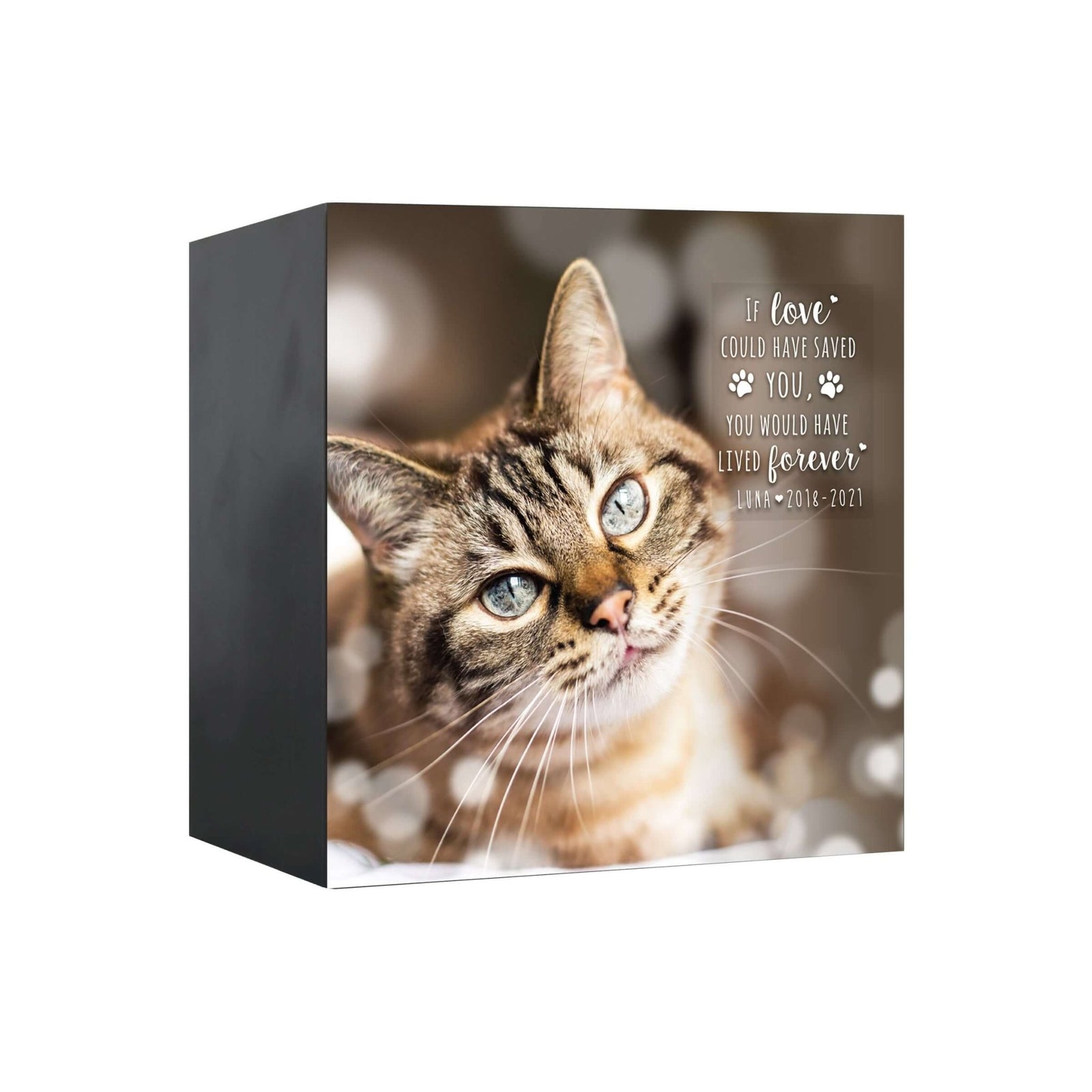 A Pet Cremation Urn for cat ashes, featuring a custom photo of a cat and a touching message. 