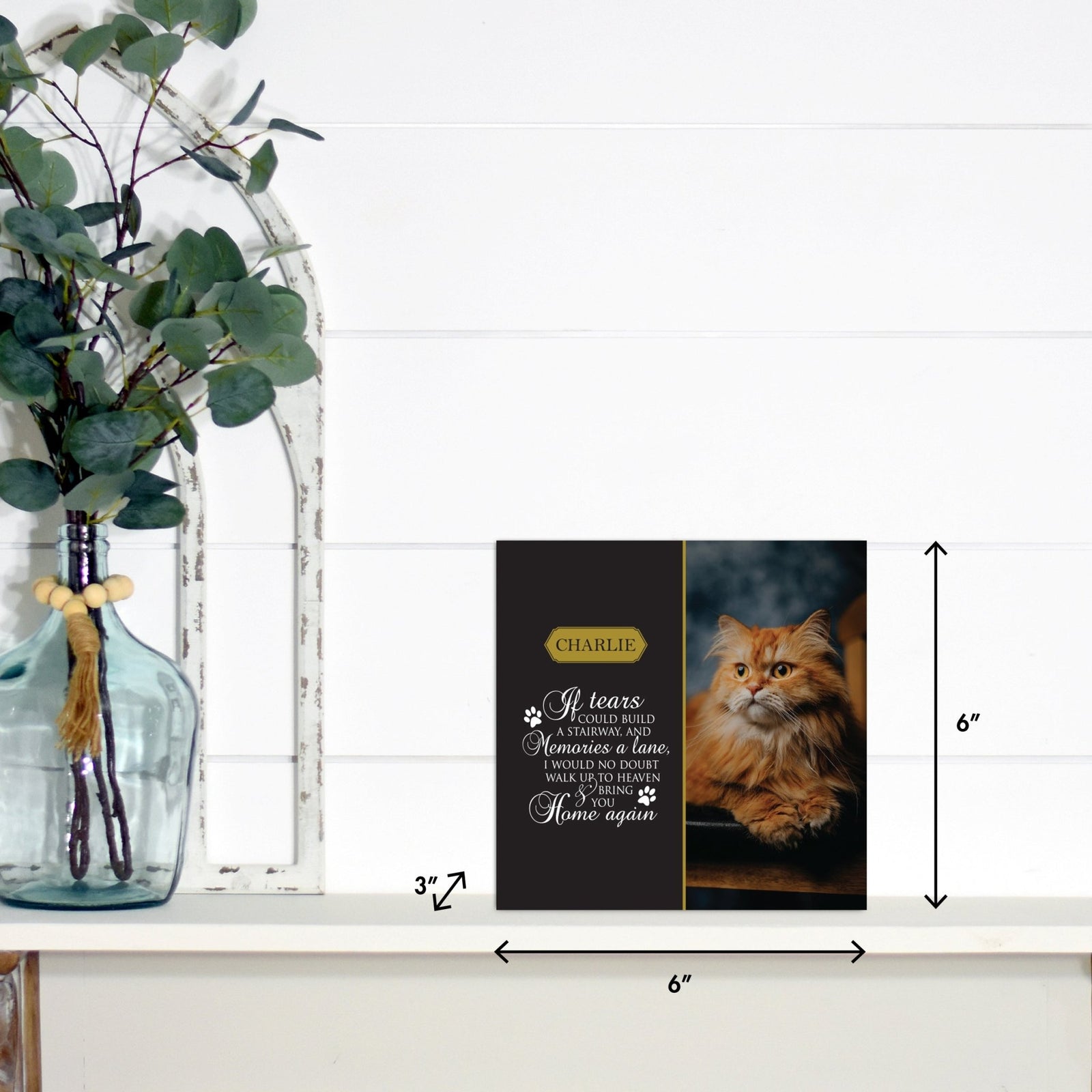 Lifesong Milestones pet memorial shadow box featuring a custom photo of a beloved dog, displayed on a white wooden shelf alongside a decorative vase of eucalyptus leaves. 