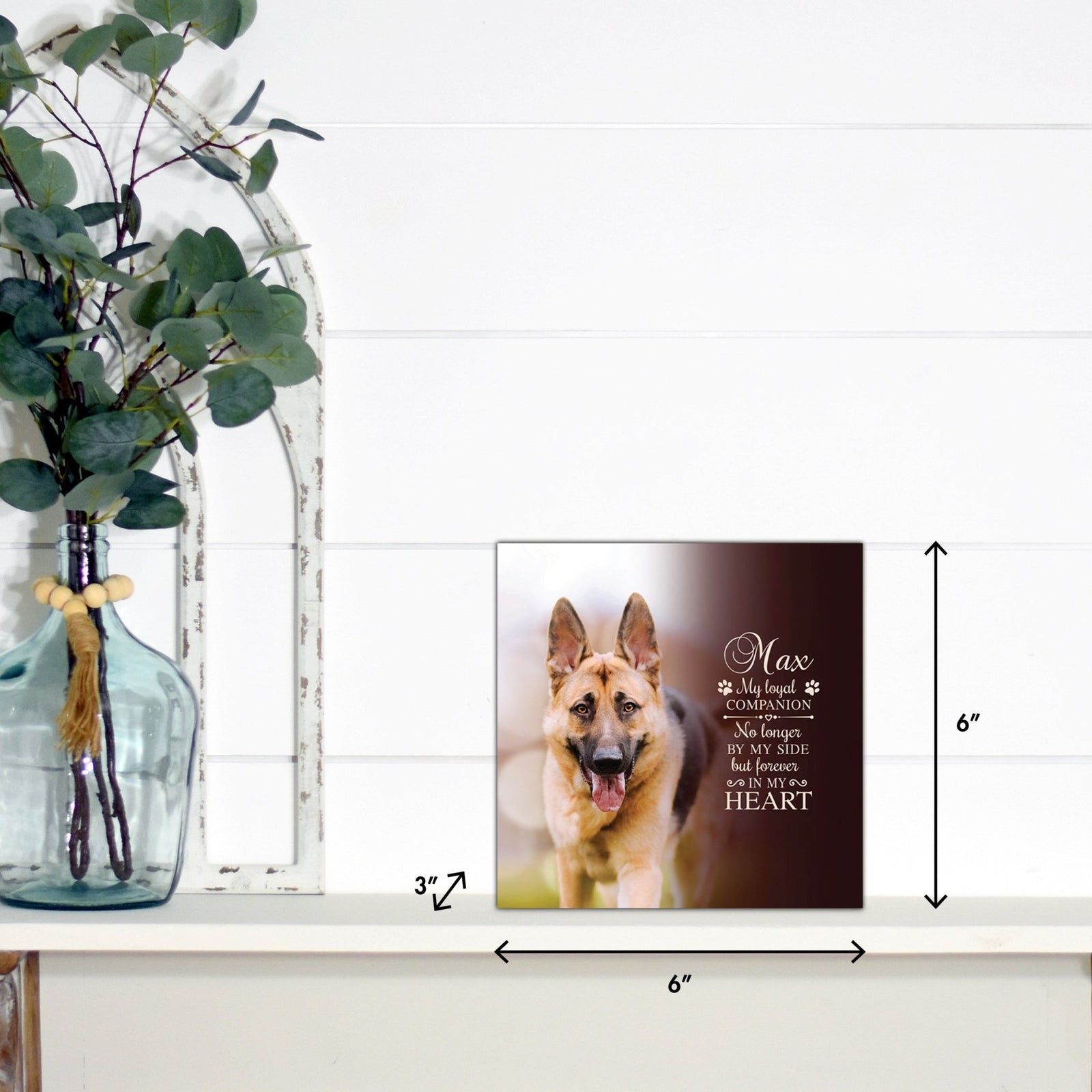 Pet Memorial Custom Photo Shadow Box Cremation Urn - My Loyal Companion - LifeSong Milestones