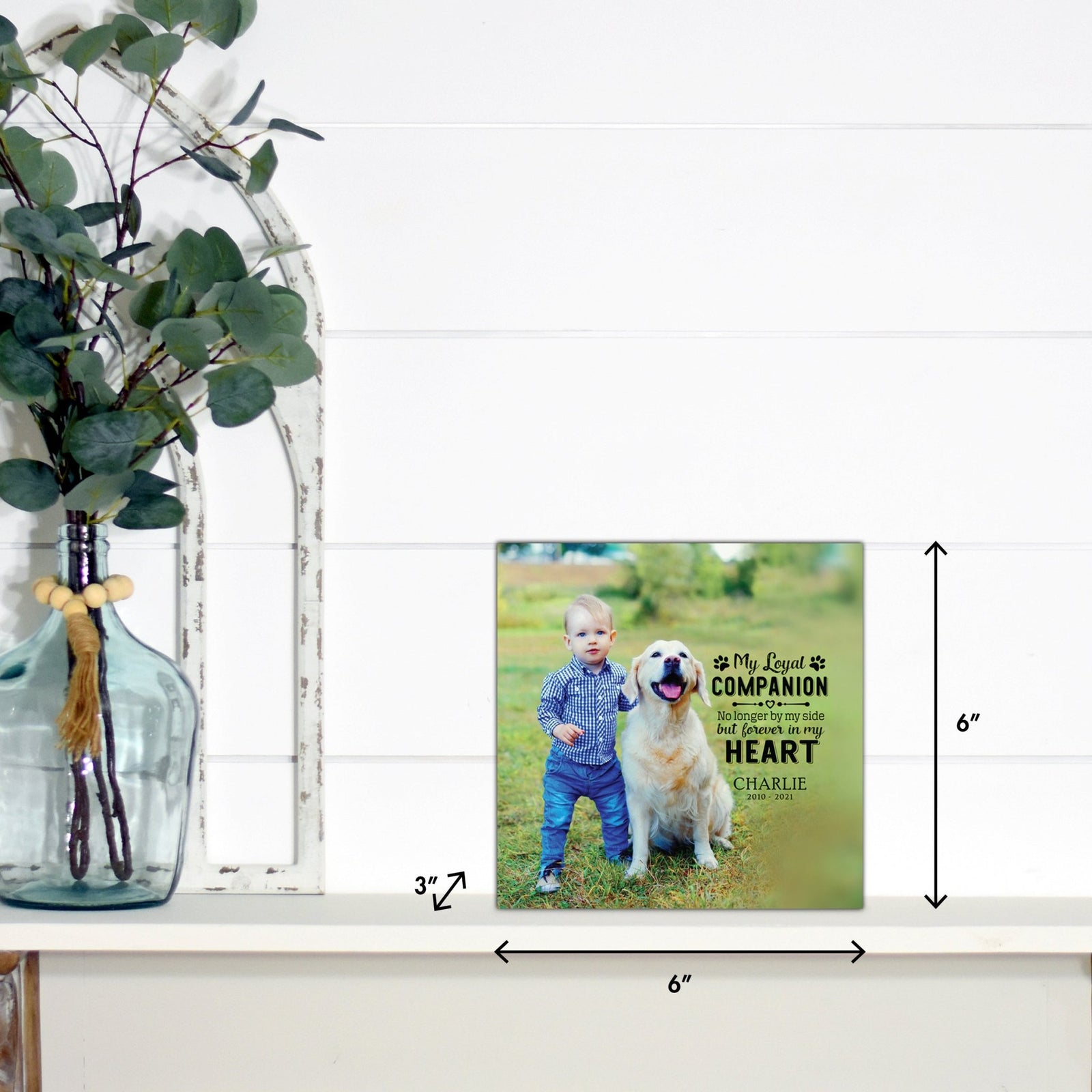 Pet Memorial Custom Photo Shadow Box Cremation Urn - My Loyal Companion - LifeSong Milestones