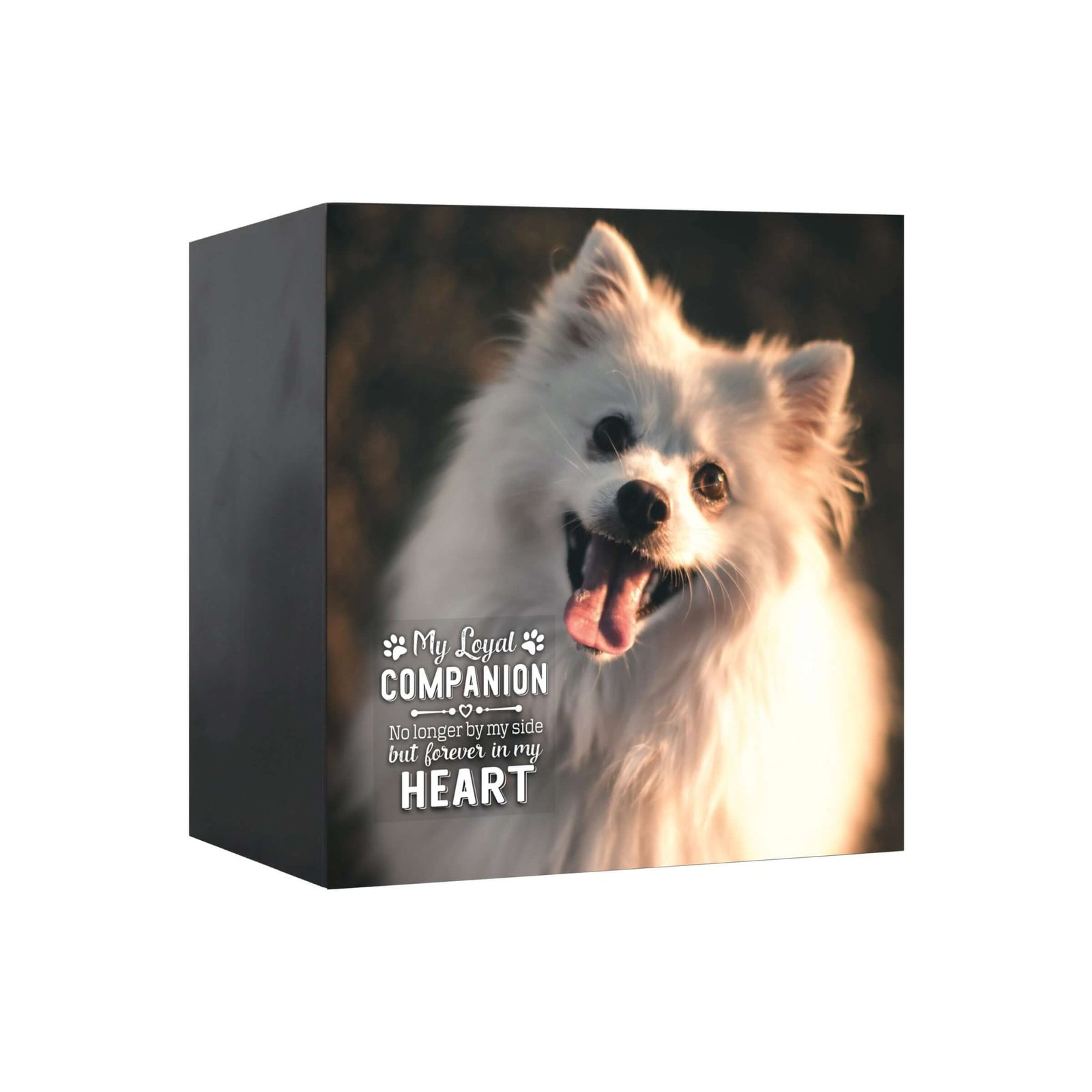 Pet Memorial Custom Photo Shadow Box Cremation Urn - My Loyal Companion - LifeSong Milestones