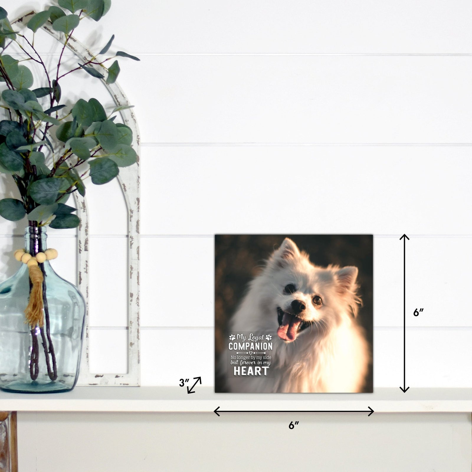 Pet Memorial Custom Photo Shadow Box Cremation Urn - My Loyal Companion - LifeSong Milestones