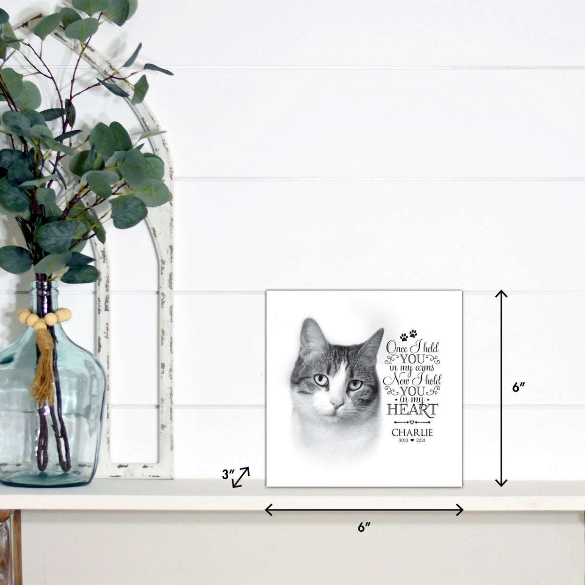 Pet Memorial Custom Photo Shadow Box Cremation Urn - Once I Held You In My Arms - LifeSong Milestones