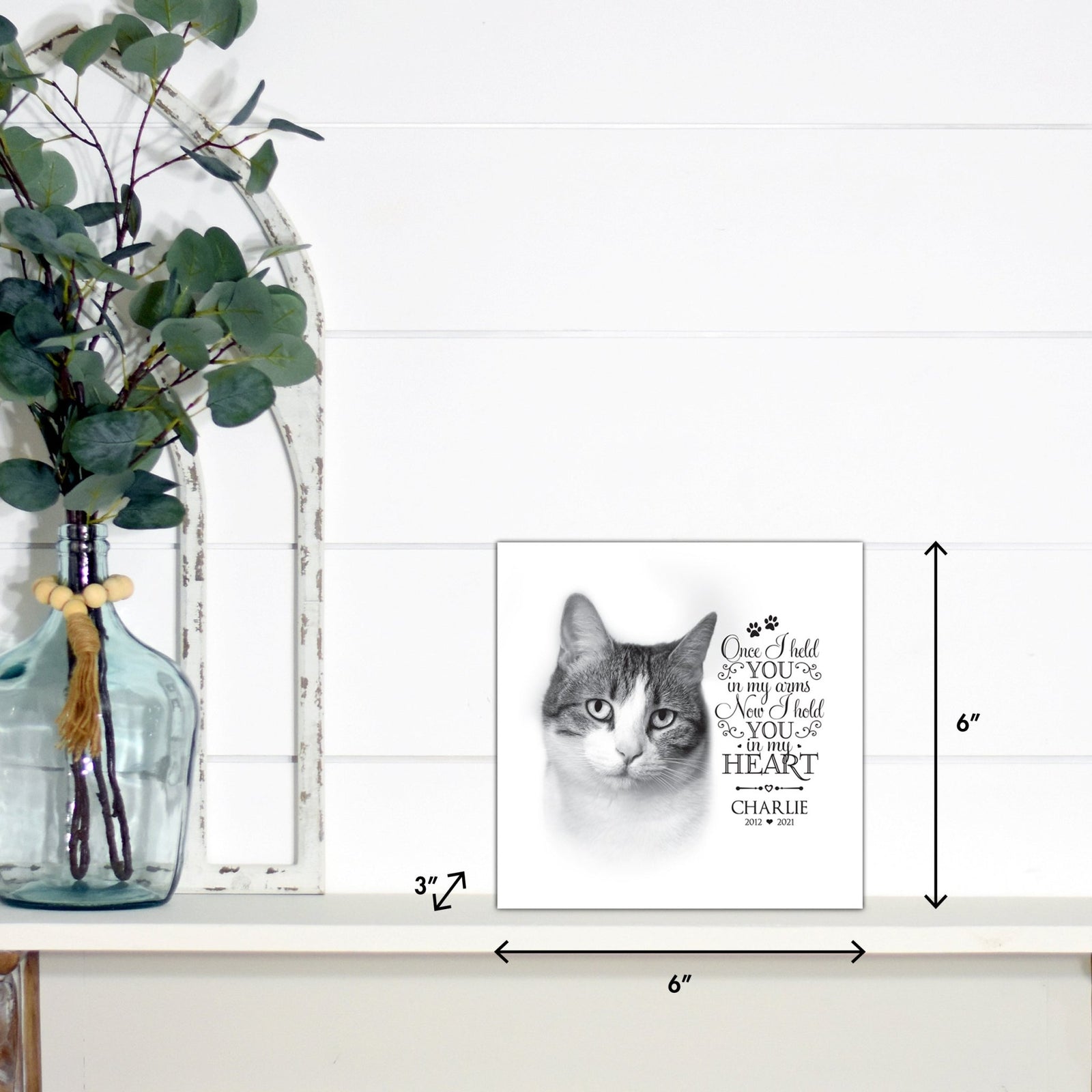 Pet Memorial Custom Photo Shadow Box Cremation Urn - Once I Held You In My Arms - LifeSong Milestones