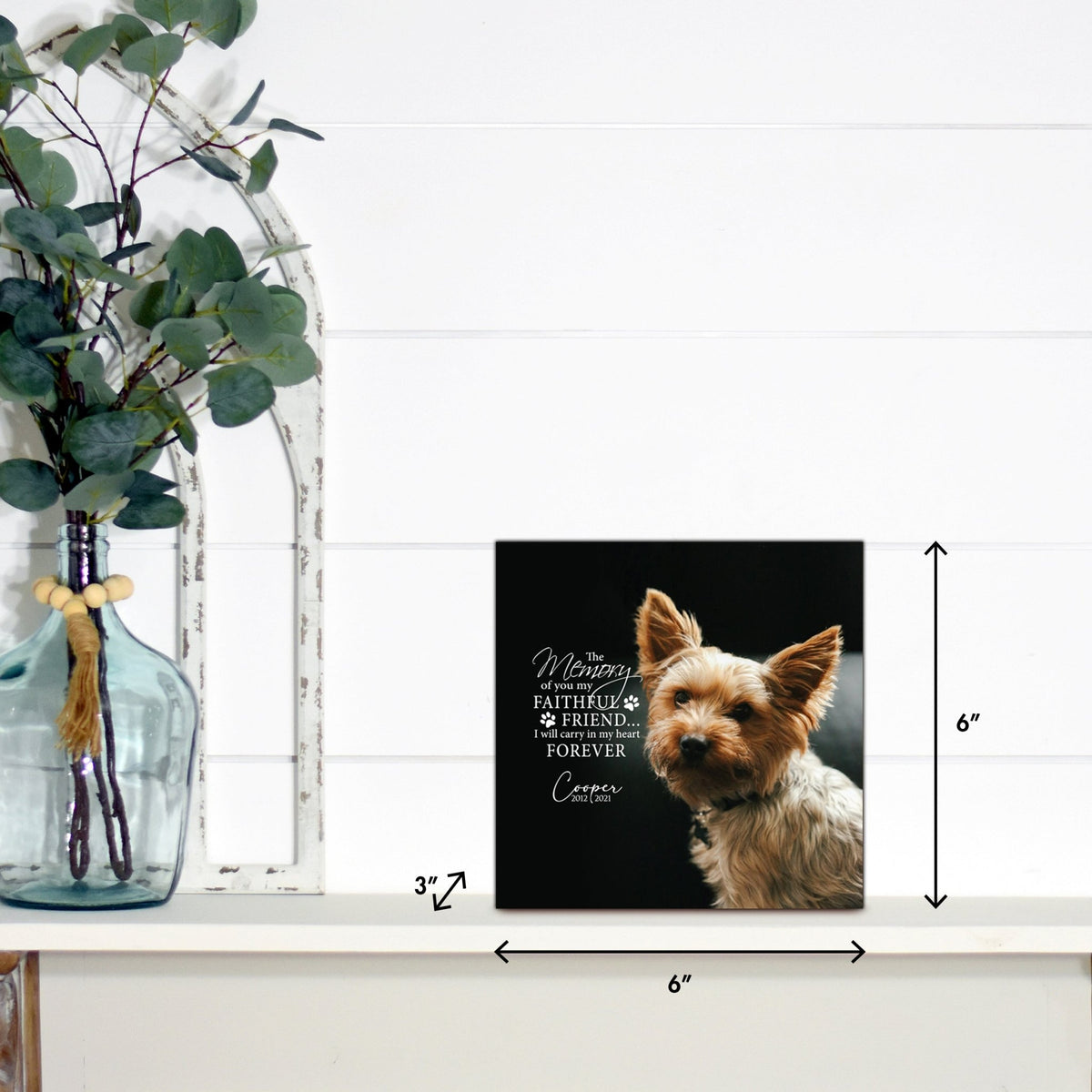 Lifesong Milestones pet memorial shadow box featuring a custom photo of a beloved pet, displayed on a white wooden shelf alongside a decorative vase of eucalyptus leaves. It is a perfect bereavement keepsake box and a thoughtful gift for loss of a pet.
