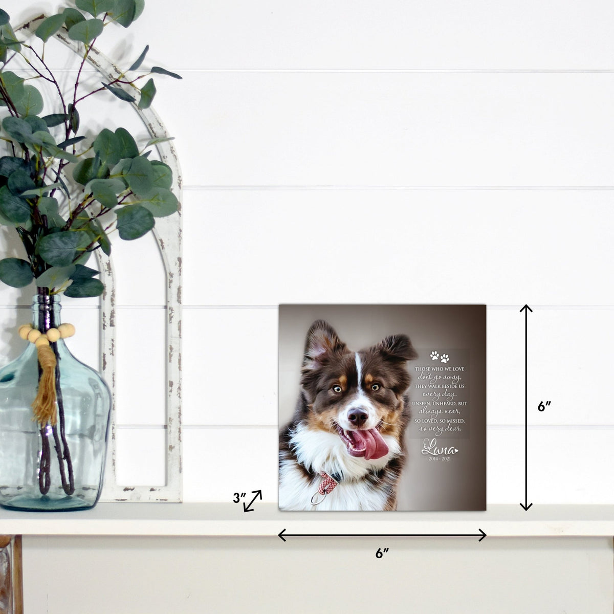 Pet Memorial Custom Photo Shadow Box Cremation Urn - Those Who We Love Don't Go Away - LifeSong Milestones