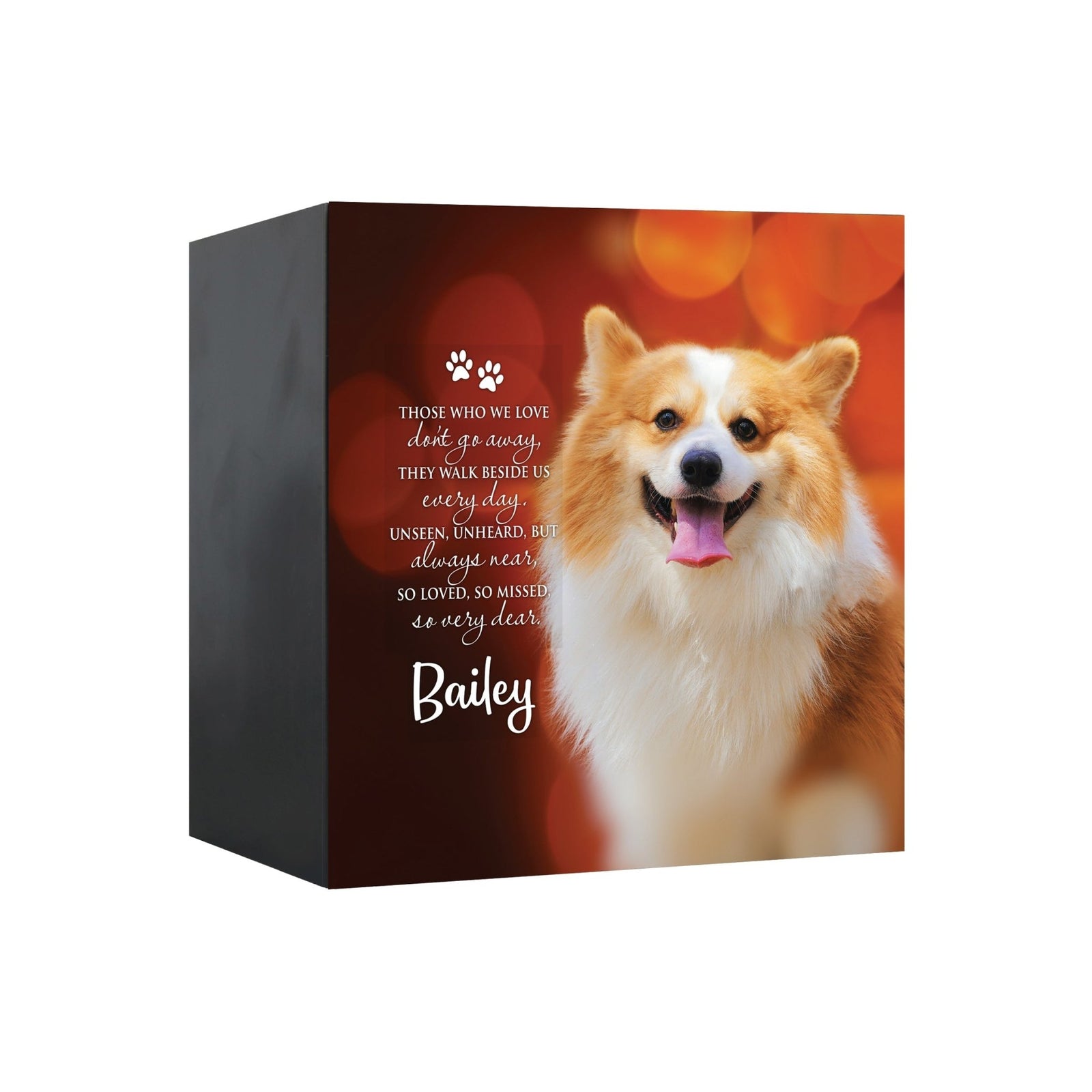 Pet Memorial Custom Photo Shadow Box Cremation Urn - Those Who We Love Don't Go Away - LifeSong Milestones