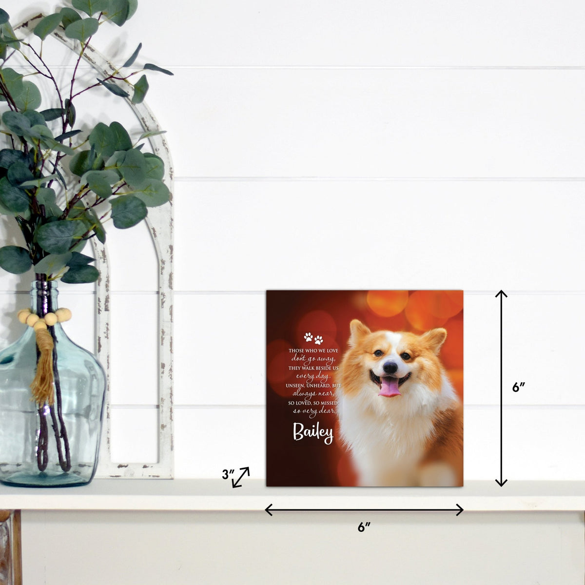 Pet Memorial Custom Photo Shadow Box Cremation Urn - Those Who We Love Don't Go Away - LifeSong Milestones