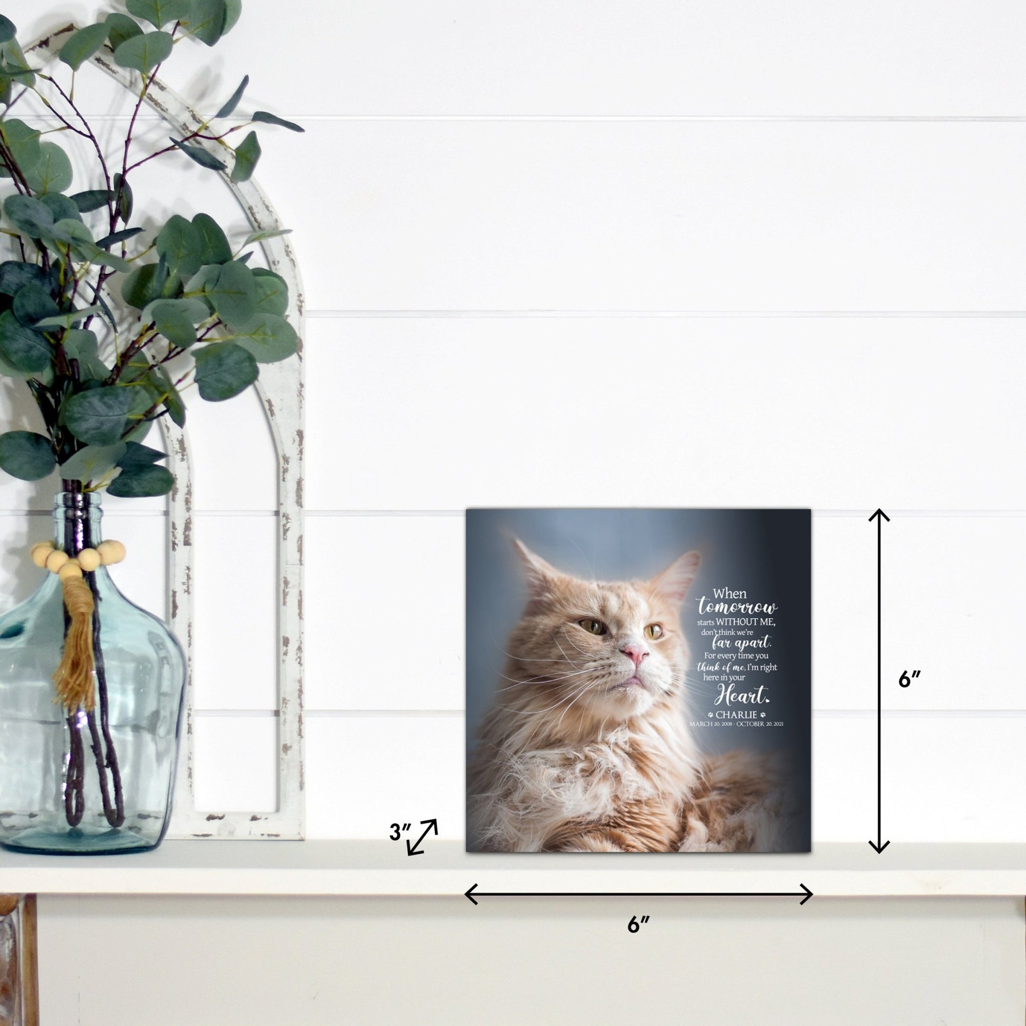 Pet Memorial Custom Photo Shadow Box Cremation Urn - When Tomorrow Starts Without Me - LifeSong Milestones