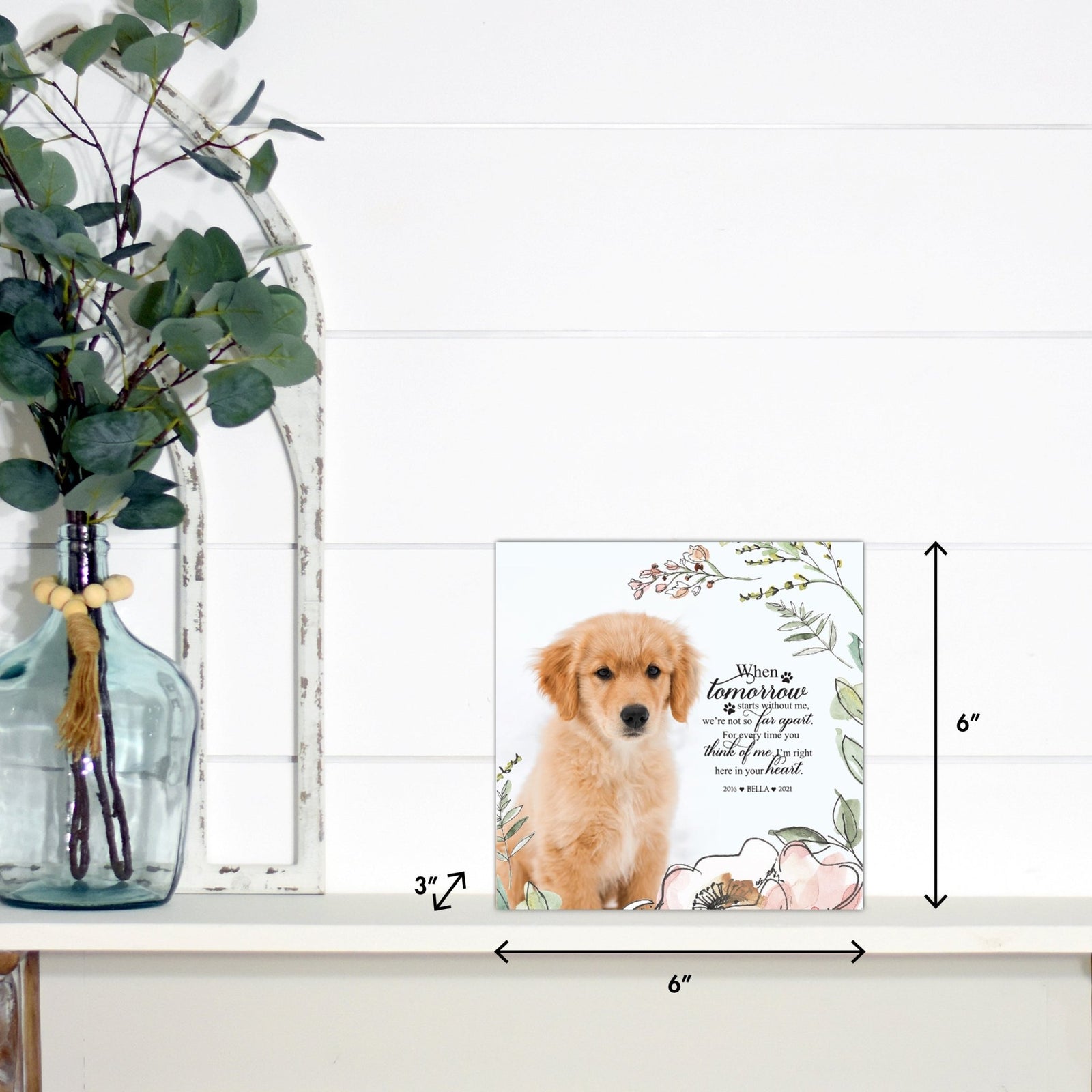 Pet Memorial Custom Photo Shadow Box Cremation Urn - When Tomorrow Starts Without Me - LifeSong Milestones