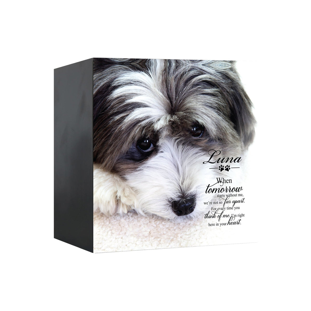 Pet Memorial Custom Photo Shadow Box Cremation Urn - When Tomorrow Starts Without Me - LifeSong Milestones