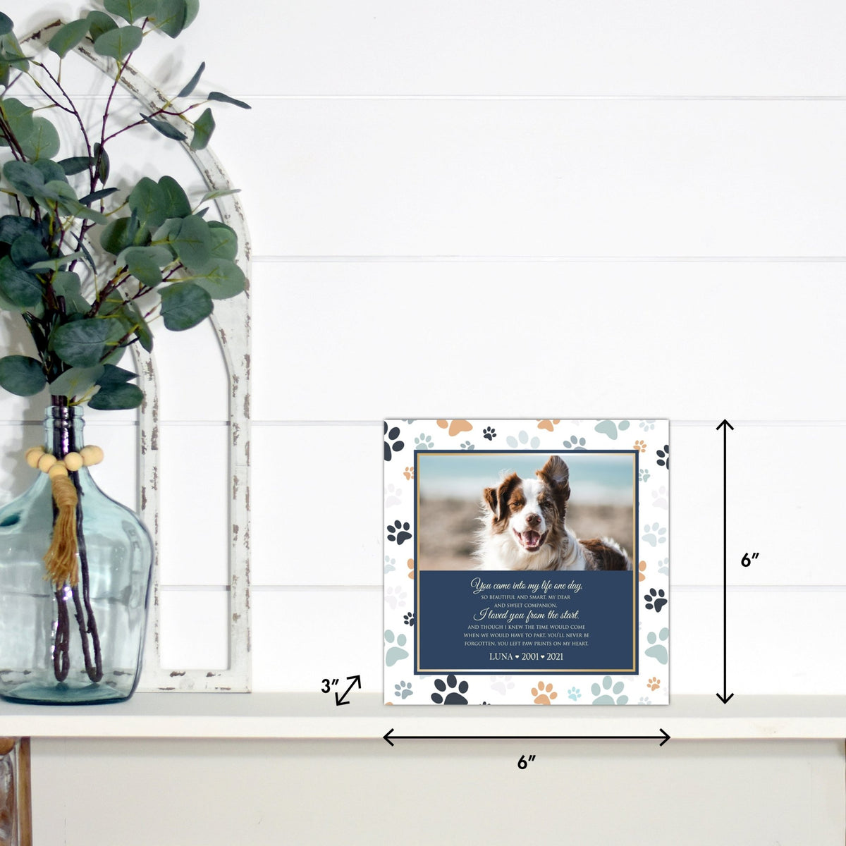 Pet Memorial Custom Photo Shadow Box Cremation Urn - You Came Into My Life One Day - LifeSong Milestones