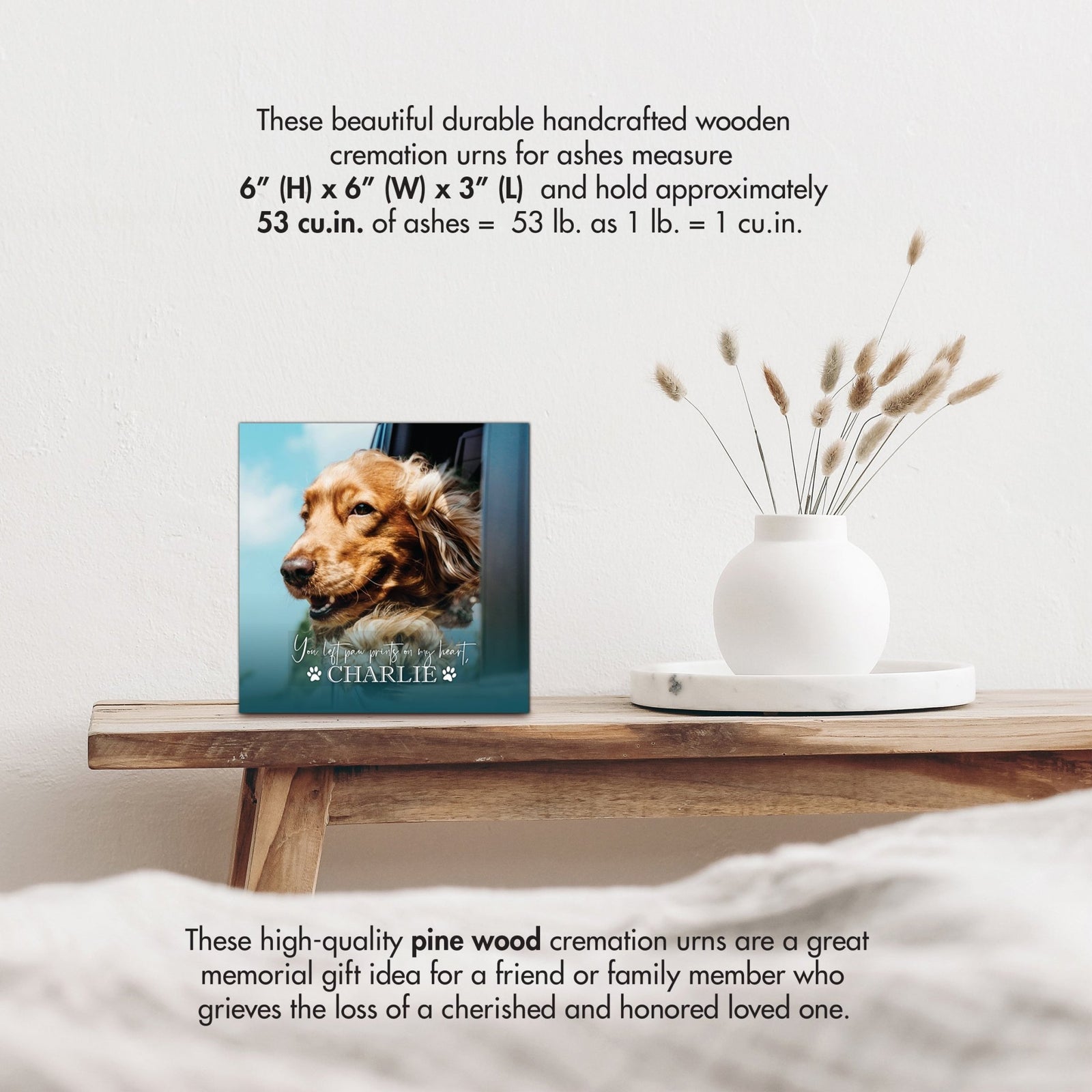 Pet Memorial Custom Photo Shadow Box Cremation Urn - You Left Paw Prints - LifeSong Milestones