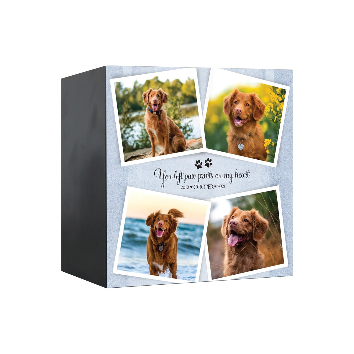 Pet Memorial Custom Photo Shadow Box Cremation Urn - You Left Paw Prints - LifeSong Milestones