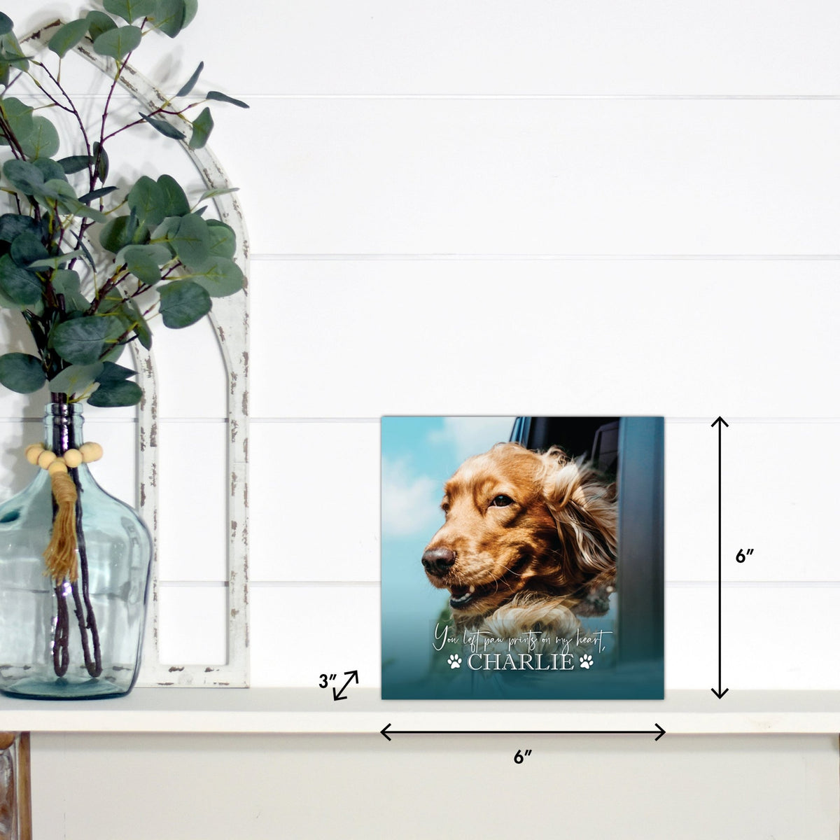 Pet Memorial Custom Photo Shadow Box Cremation Urn - You Left Paw Prints - LifeSong Milestones
