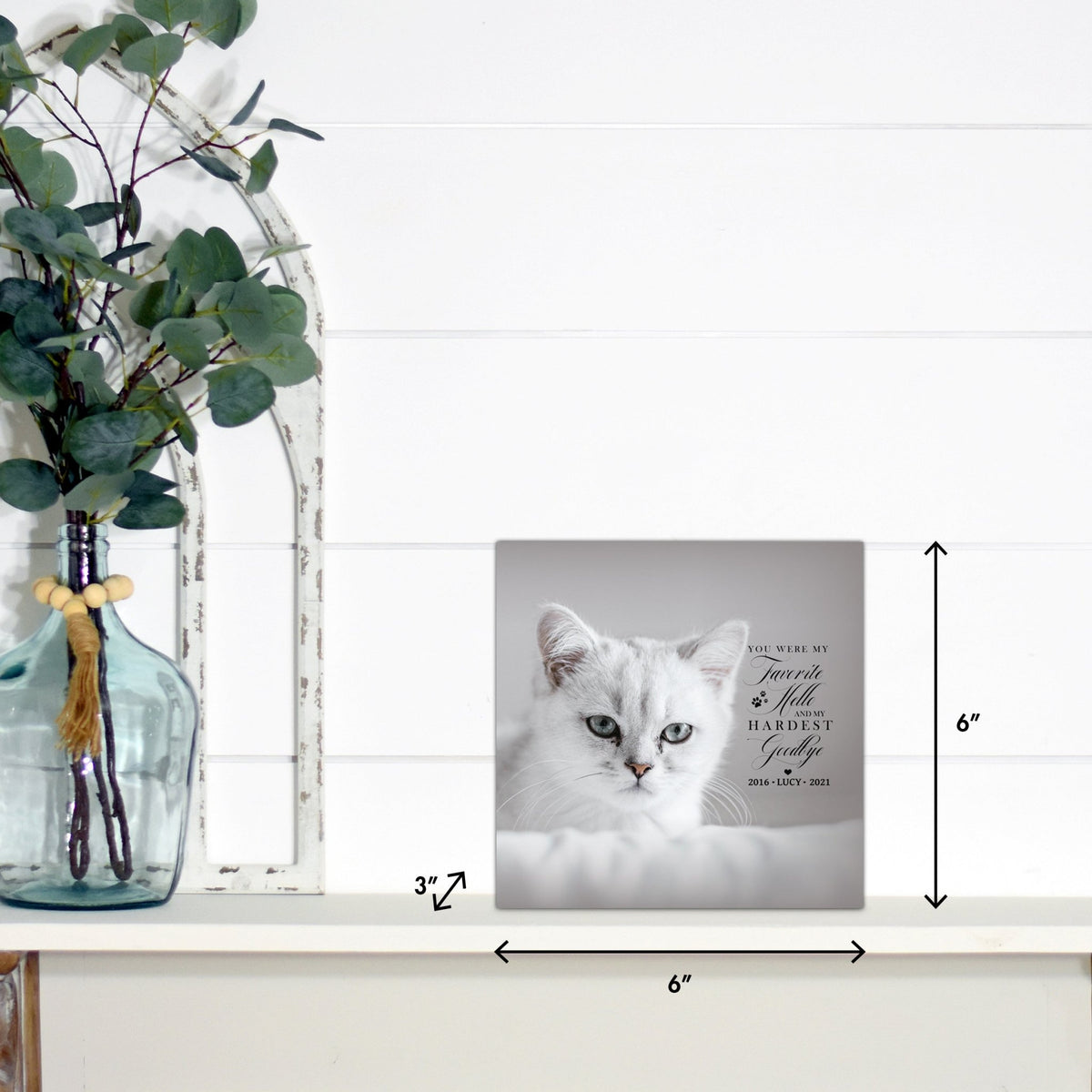 Pet Memorial Custom Photo Shadow Box Cremation Urn - You Were My Favorite Hello - LifeSong Milestones
