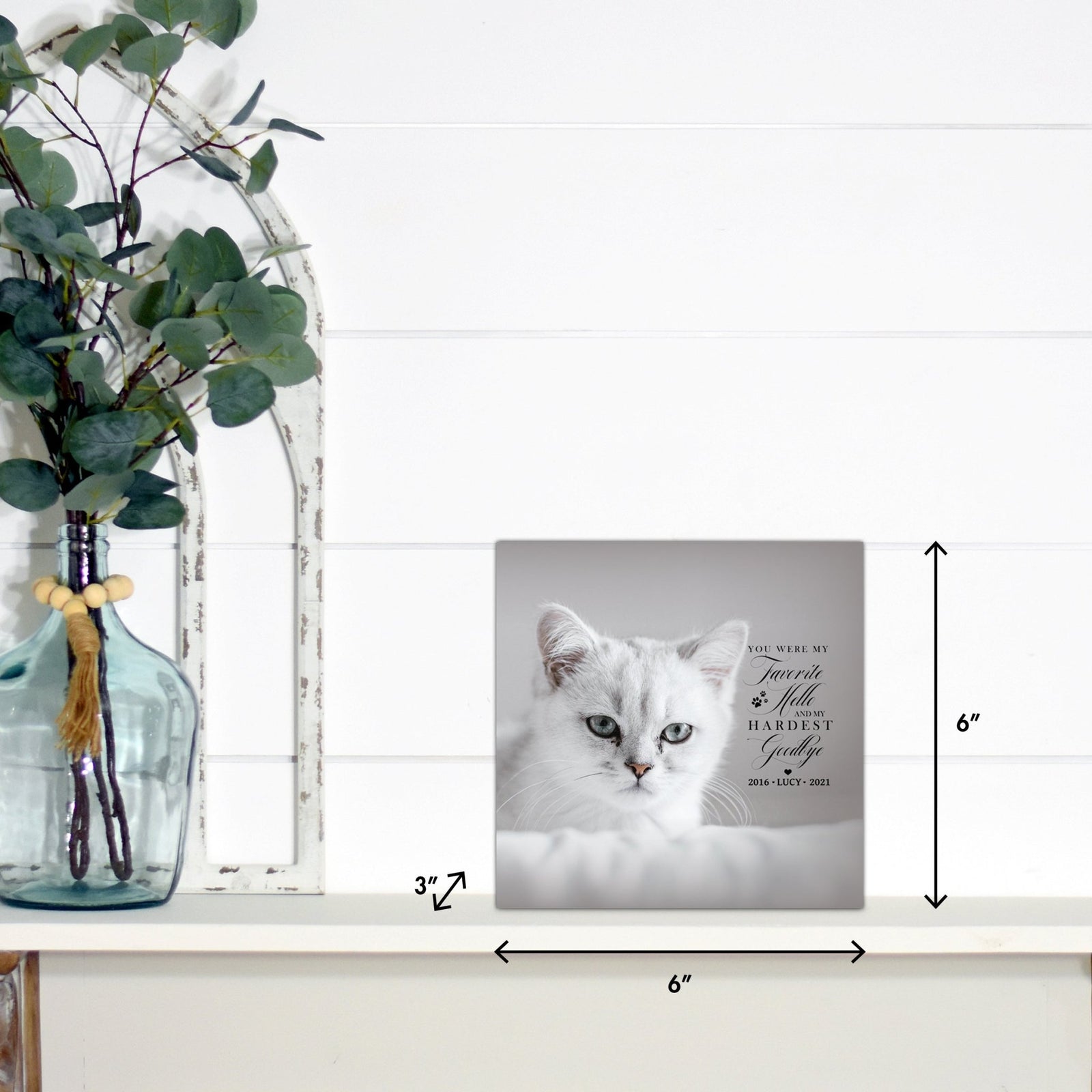 Pet Memorial Custom Photo Shadow Box Cremation Urn - You Were My Favorite Hello - LifeSong Milestones