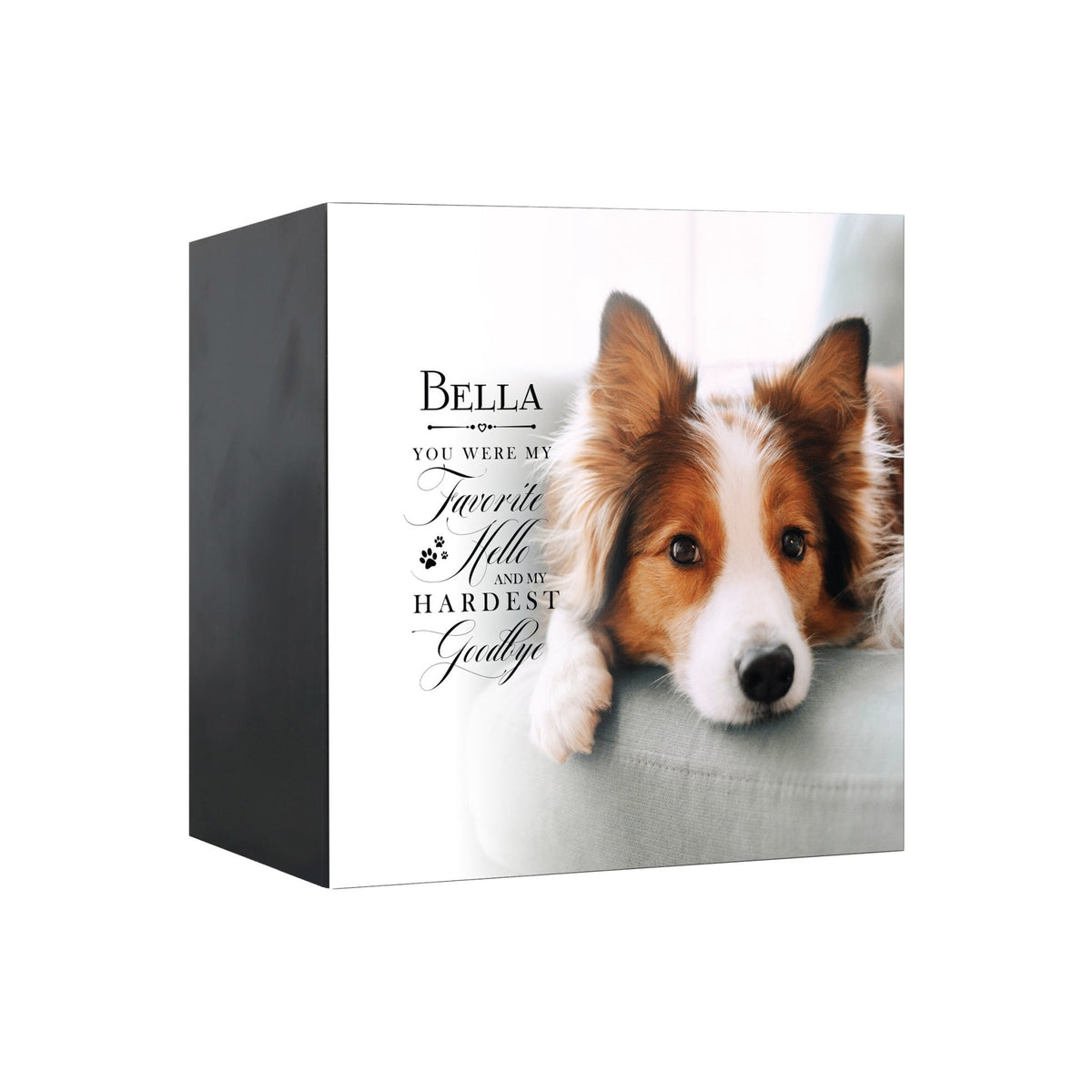 Pet Memorial Custom Photo Shadow Box Cremation Urn - You Were My Favorite Hello - LifeSong Milestones