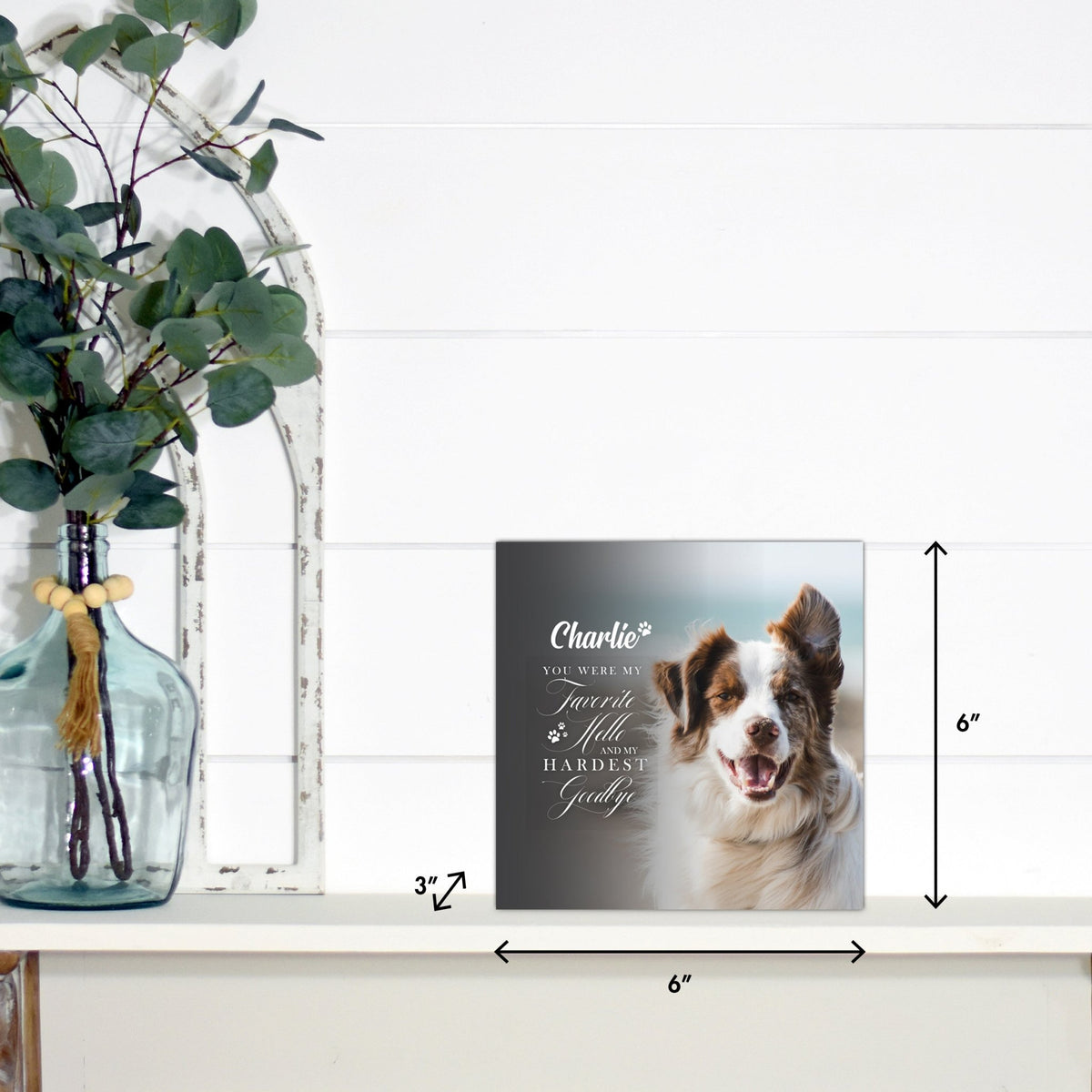 Pet Memorial Custom Photo Shadow Box Cremation Urn - You Were My Favorite Hello - LifeSong Milestones