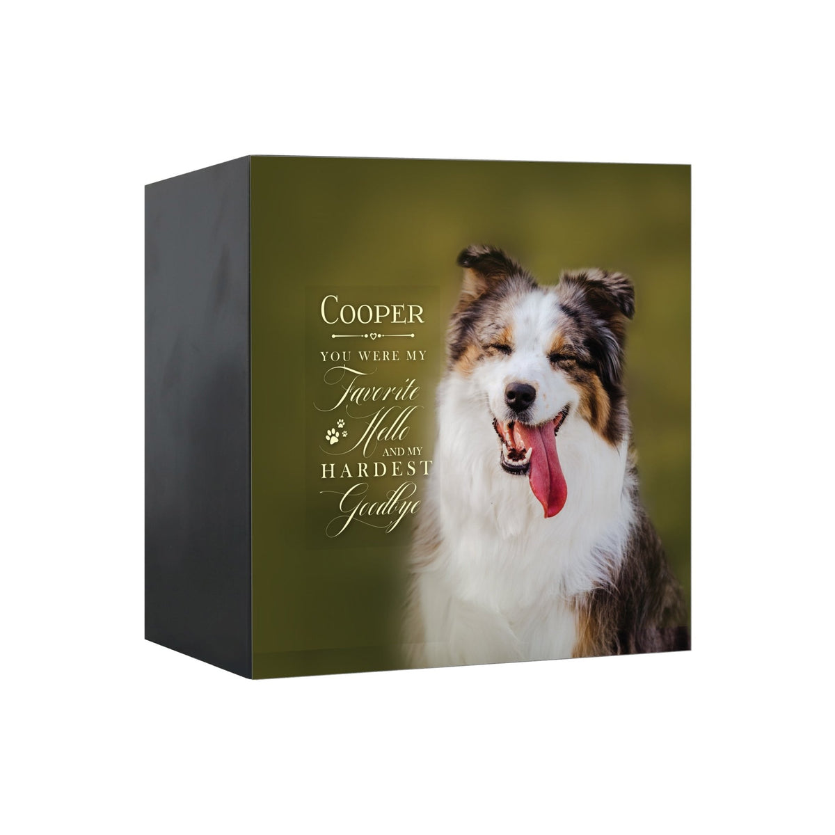 Pet Memorial Custom Photo Shadow Box Cremation Urn - You Were My Favorite Hello - LifeSong Milestones