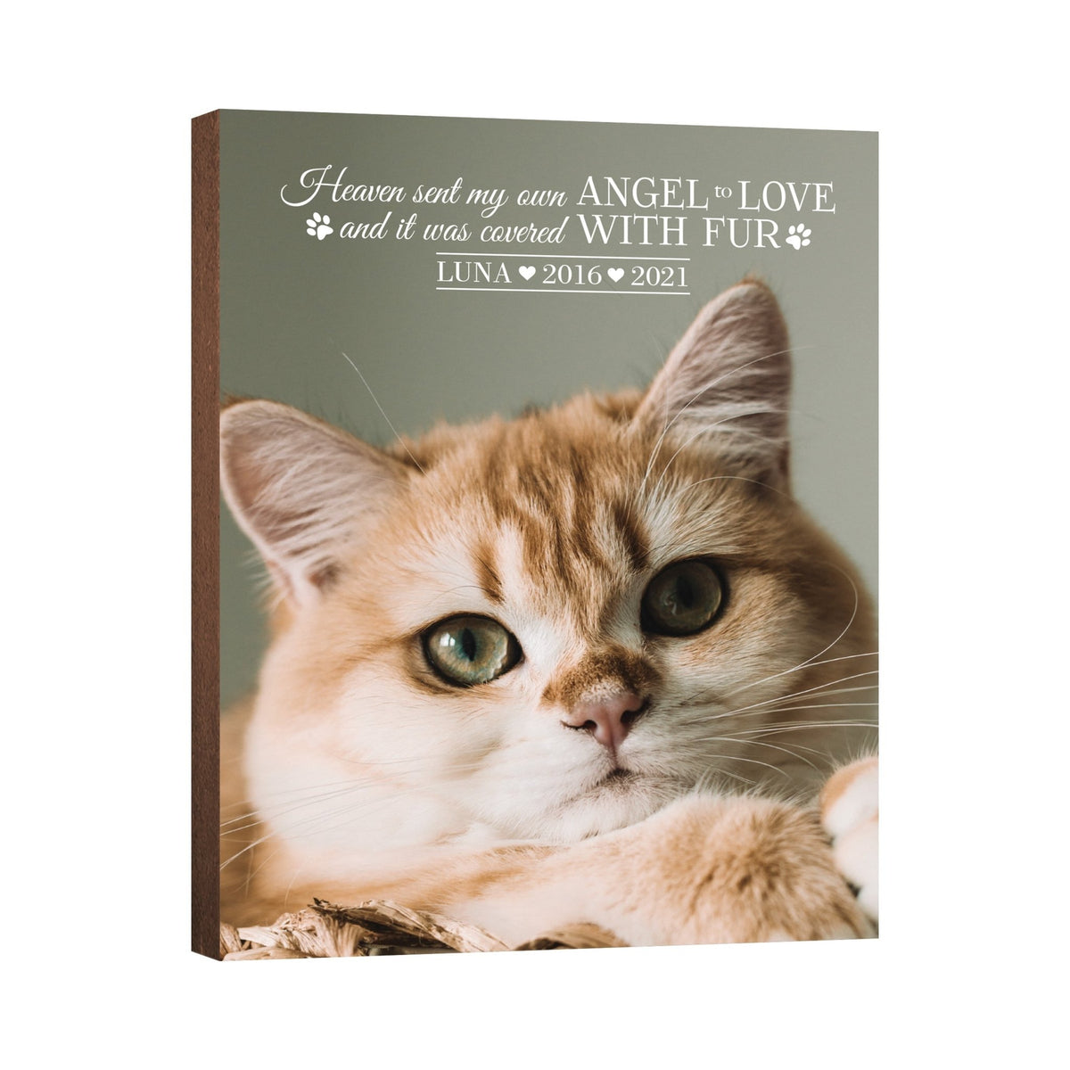 Pet Memorial Custom Photo Wall Plaque Décor - Heaven Sent My Own Angel - LifeSong Milestones
