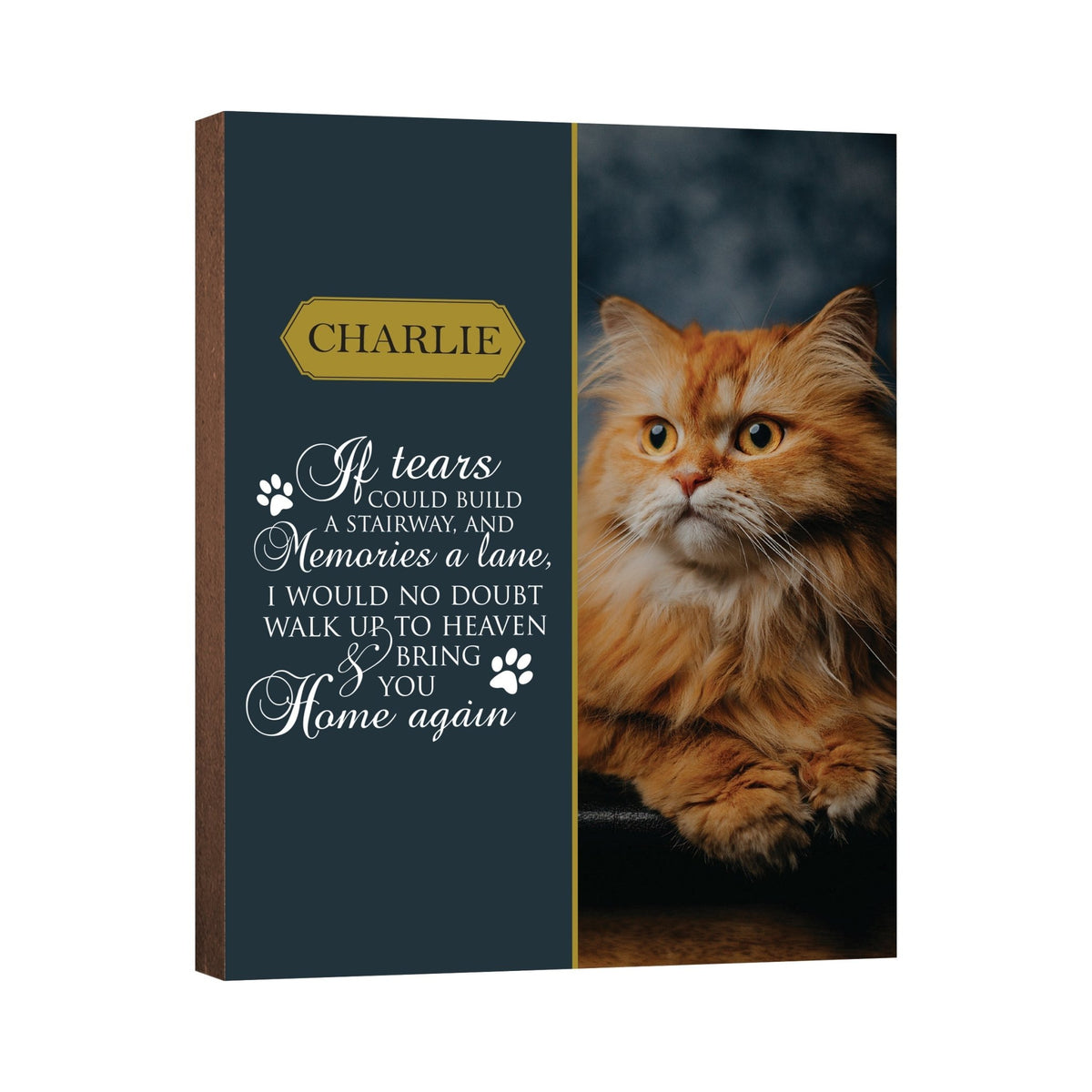 Pet Memorial Custom Photo Wall Plaque Décor - If Tears Could Build A Stairway - LifeSong Milestones
