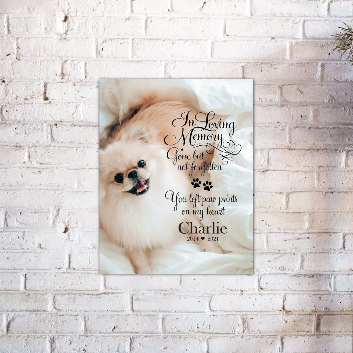 Pet Memorial Custom Photo Wall Plaque Décor - In Loving Memory - LifeSong Milestones
