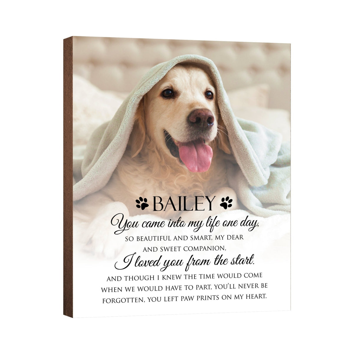 Pet Memorial Custom Photo Wall Plaque Décor - You Came Into My Life One Day - LifeSong Milestones