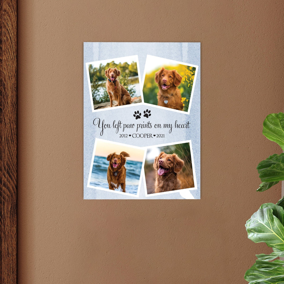 Pet Memorial Custom Photo Wall Plaque Décor - You Left Paw Prints On My Heart - LifeSong Milestones