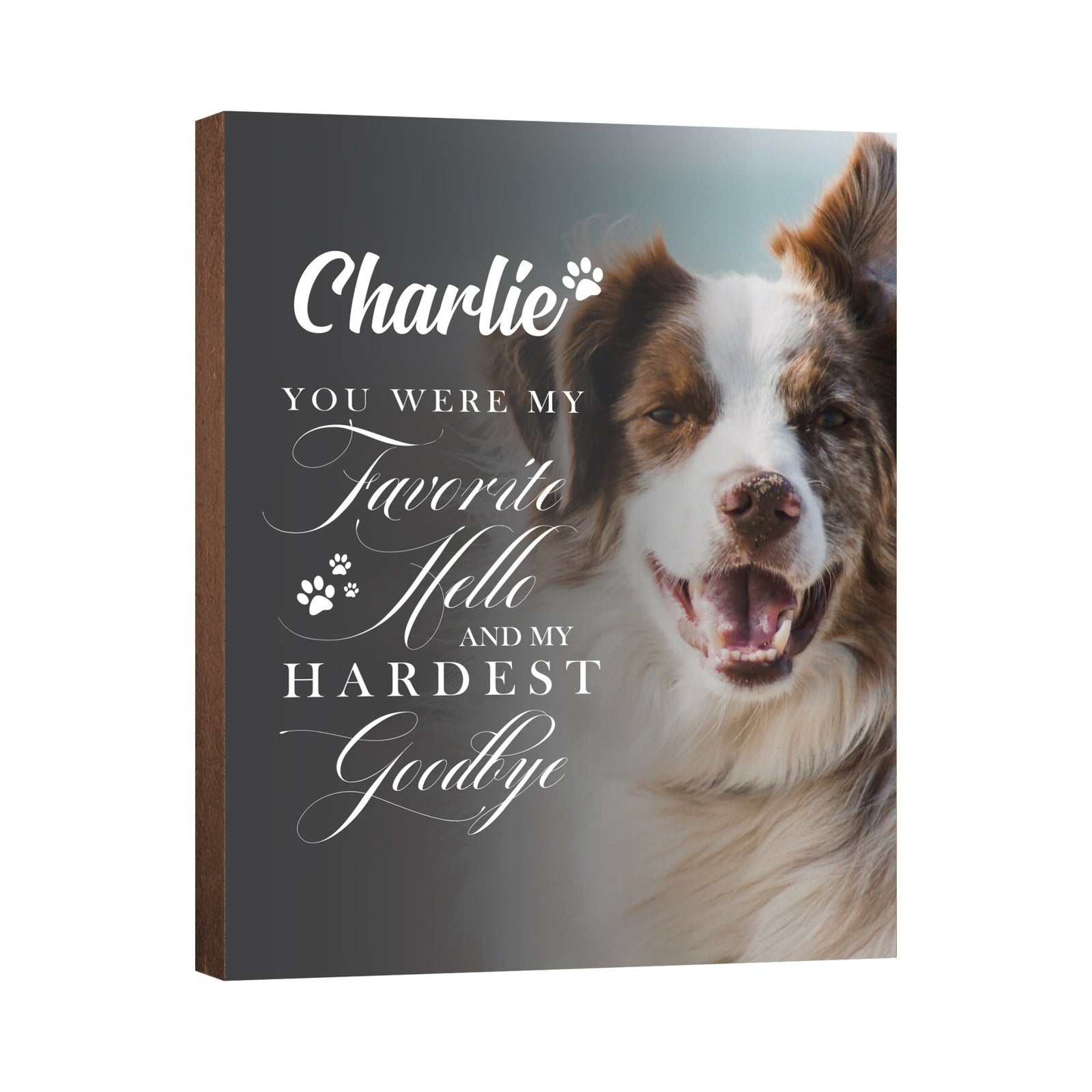 Pet Memorial Custom Photo Wall Plaque Décor - You Were My Favorite Hello - LifeSong Milestones