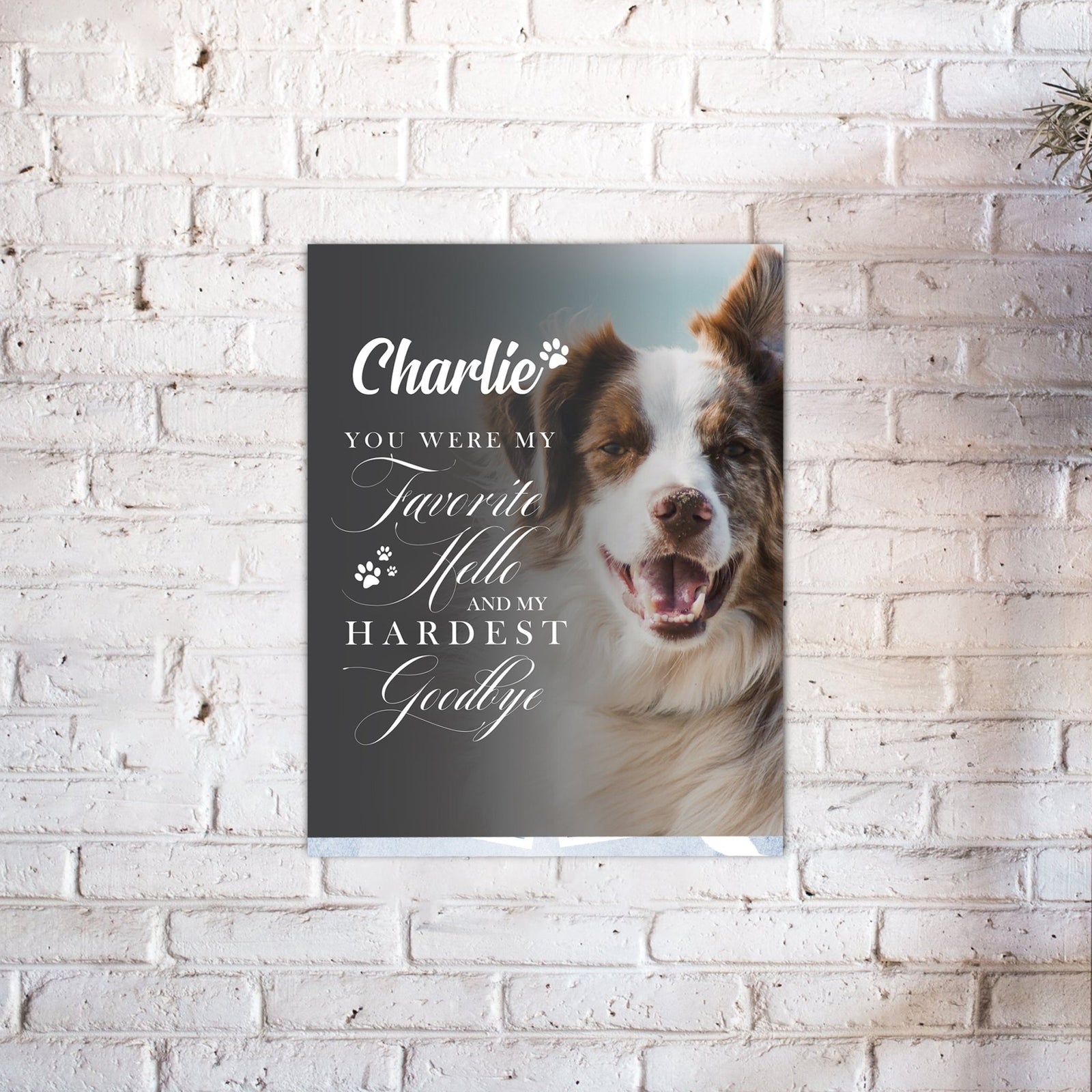 Pet Memorial Custom Photo Wall Plaque Décor - You Were My Favorite Hello - LifeSong Milestones