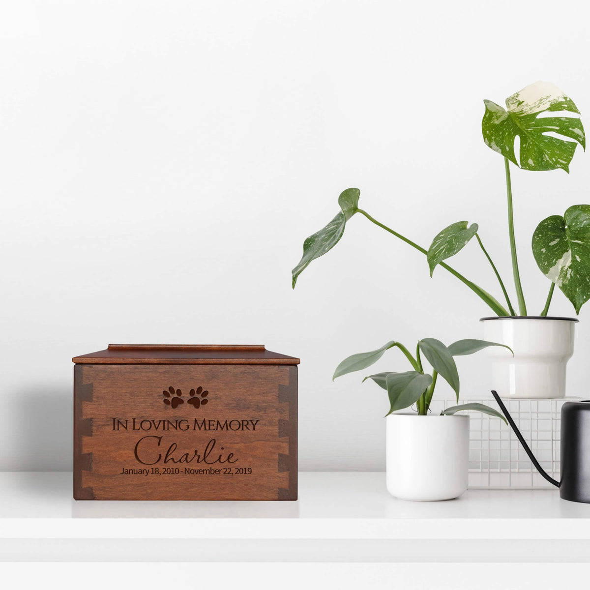 Pet Memorial Dovetail Cremation Urn Box for Dog or Cat - In Loving Memory - LifeSong Milestones