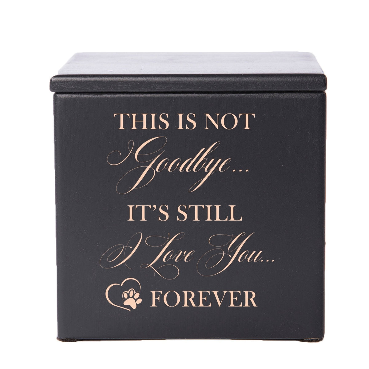 Pet Memorial Keepsake Cremation Urn Box for Dog or Cat - This Is Not Goodbye - LifeSong Milestones