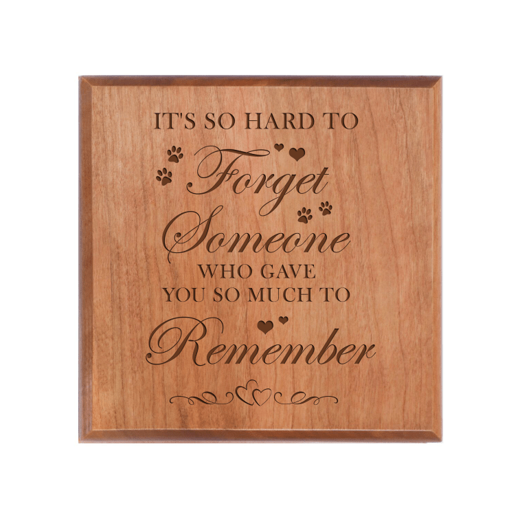 Pet Memorial Keepsake Urn Box for Dog or Cat - It's So Hard To Forget - LifeSong Milestones