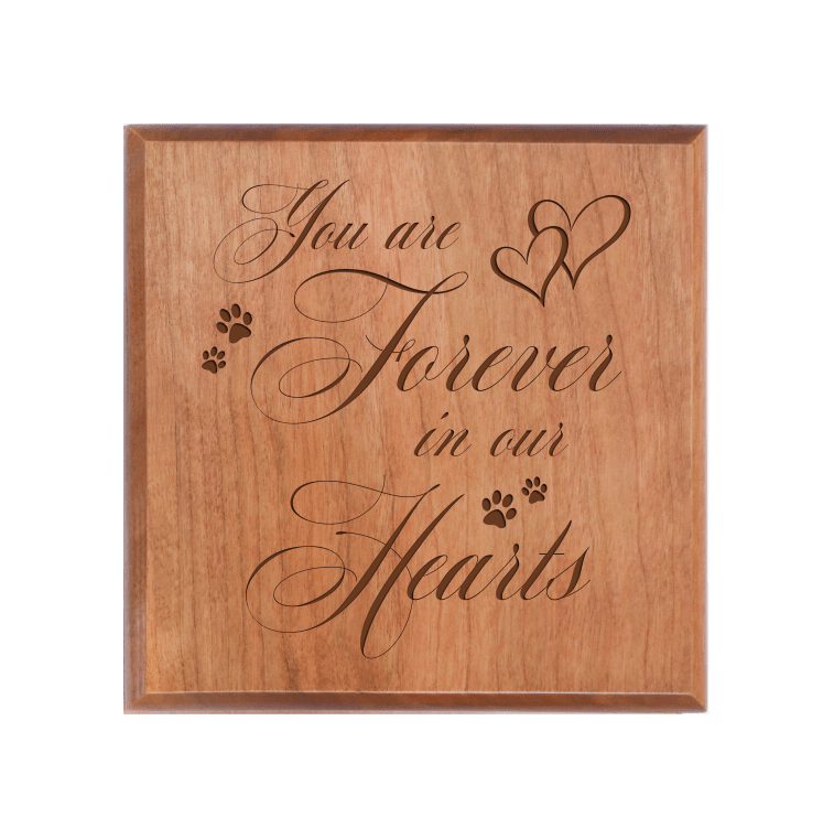 Pet Memorial Keepsake Urn Box for Dog or Cat - You Are Forever In Our Hearts - LifeSong Milestones