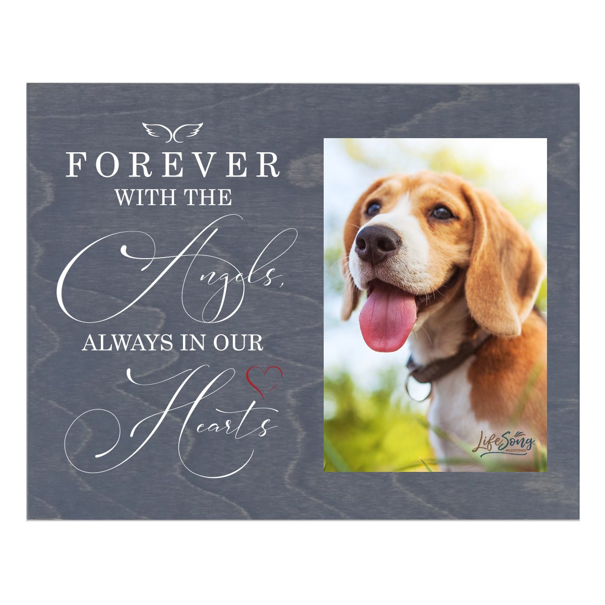 Pet Memorial Photo Wall Plaque Décor - Forever With The Angels - LifeSong Milestones
