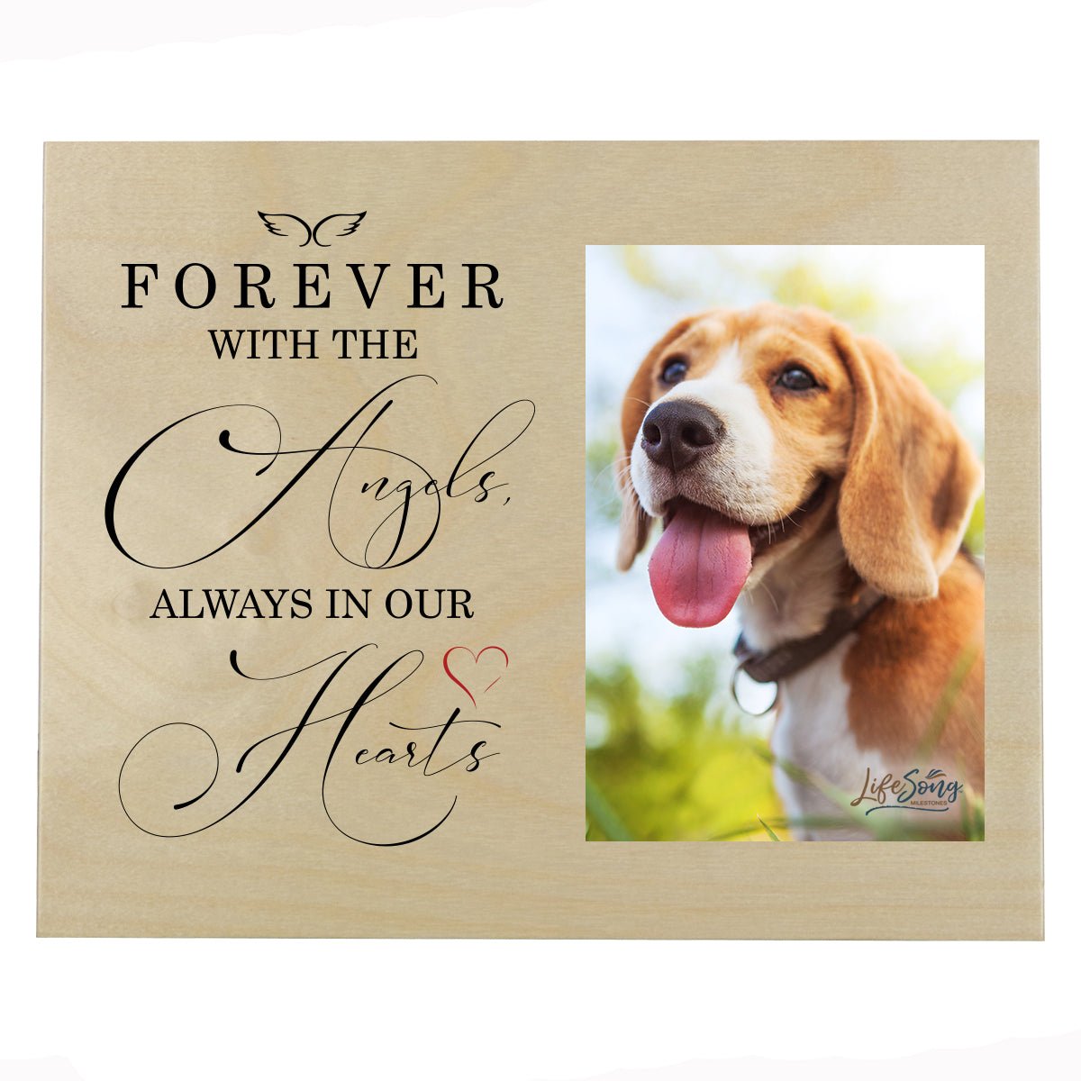 Pet Memorial Photo Wall Plaque Décor - Forever With The Angels - LifeSong Milestones