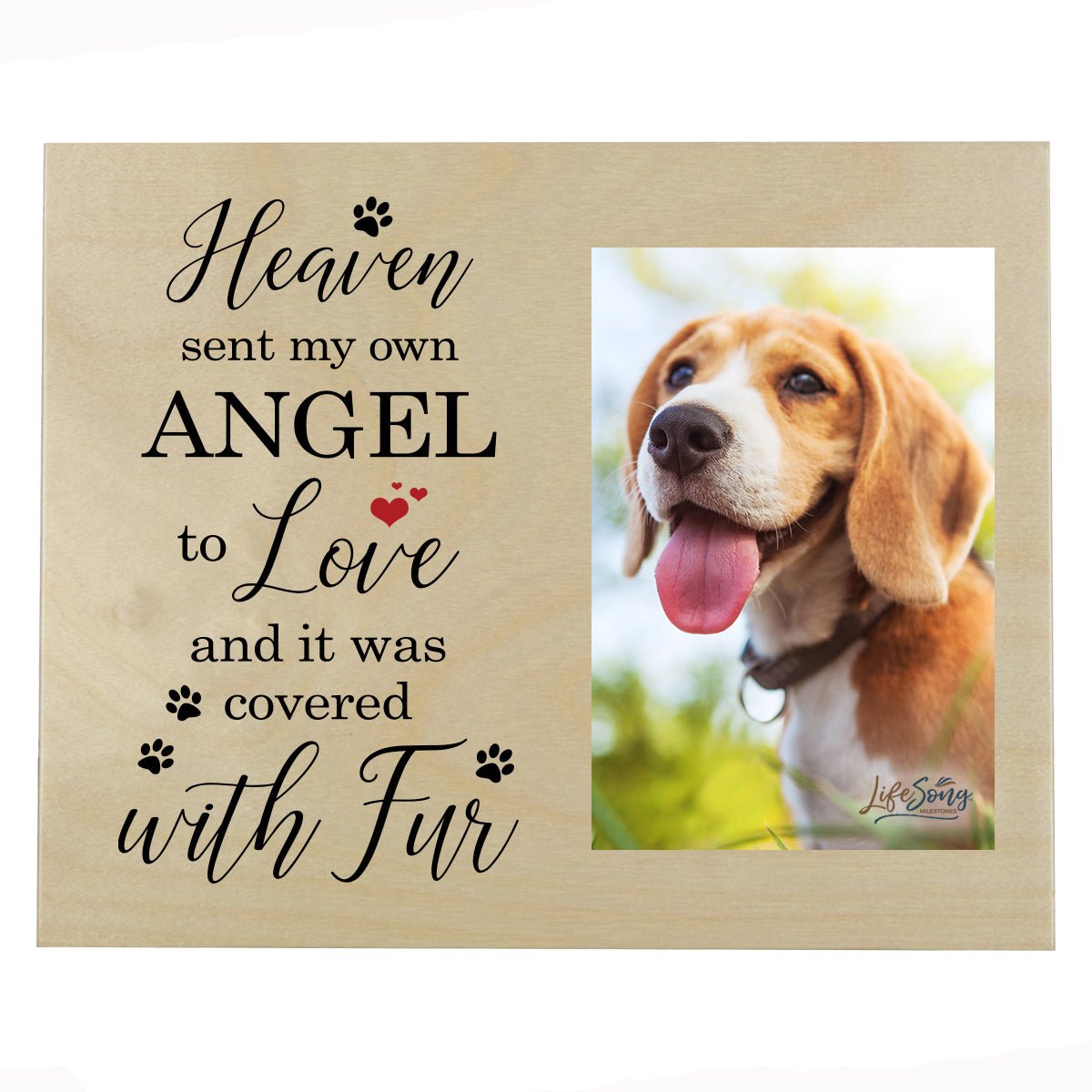 Pet Memorial Photo Wall Plaque Décor - Heaven Sent My Own Angel - LifeSong Milestones