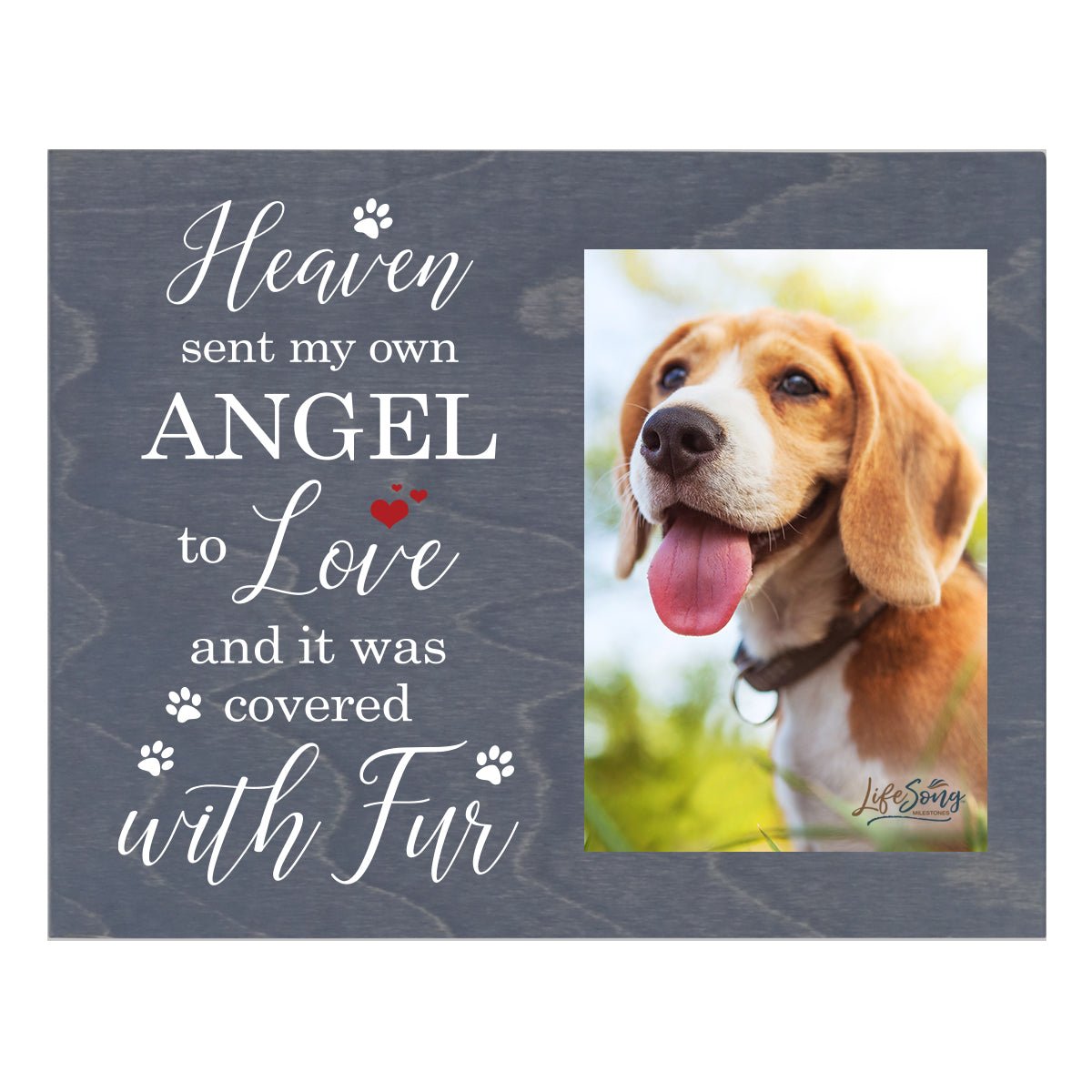 Pet Memorial Photo Wall Plaque Décor - Heaven Sent My Own Angel - LifeSong Milestones