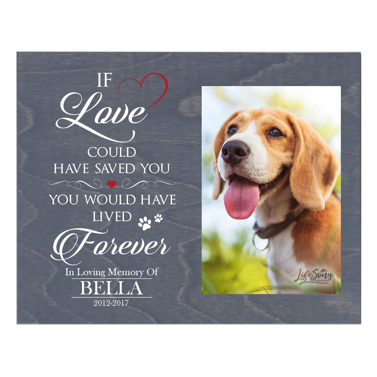 Pet Memorial Photo Wall Plaque Décor - If Love Could Have Saved You - LifeSong Milestones
