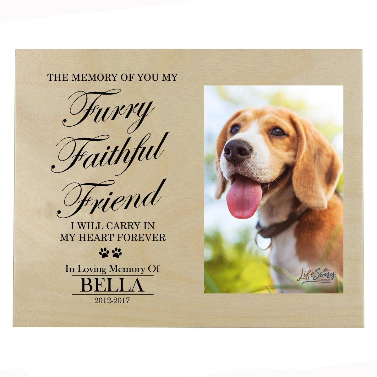 Pet Memorial Photo Wall Plaque Décor - The Memory of You - LifeSong Milestones