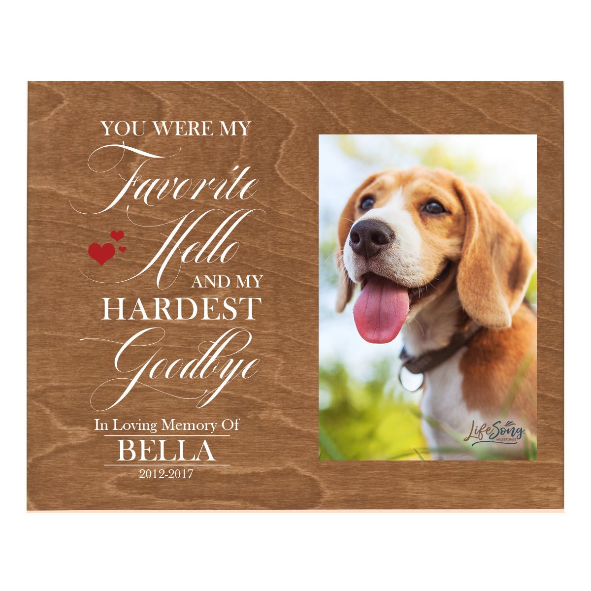 Pet Memorial Photo Wall Plaque Décor - You Were My Favorite Hello - LifeSong Milestones