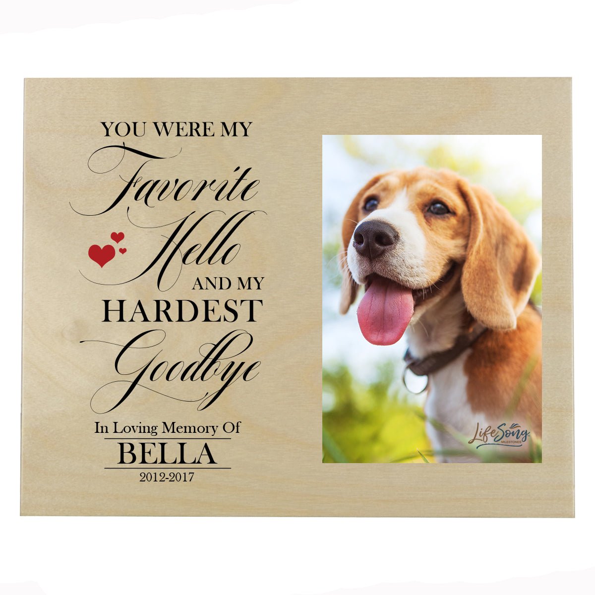 Pet Memorial Photo Wall Plaque Décor - You Were My Favorite Hello - LifeSong Milestones