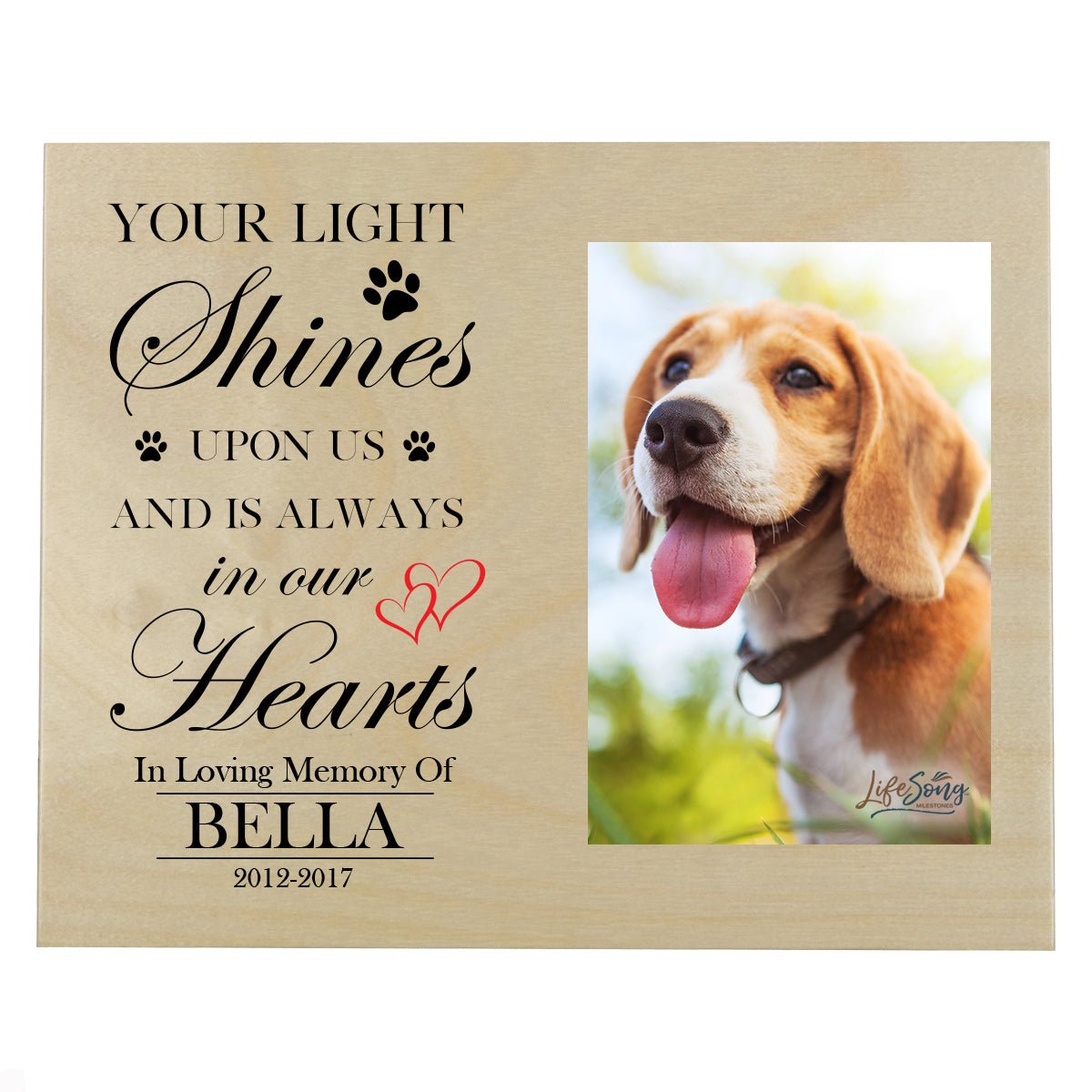 Pet Memorial Photo Wall Plaque Décor - Your Light Shines Upon Us - LifeSong Milestones
