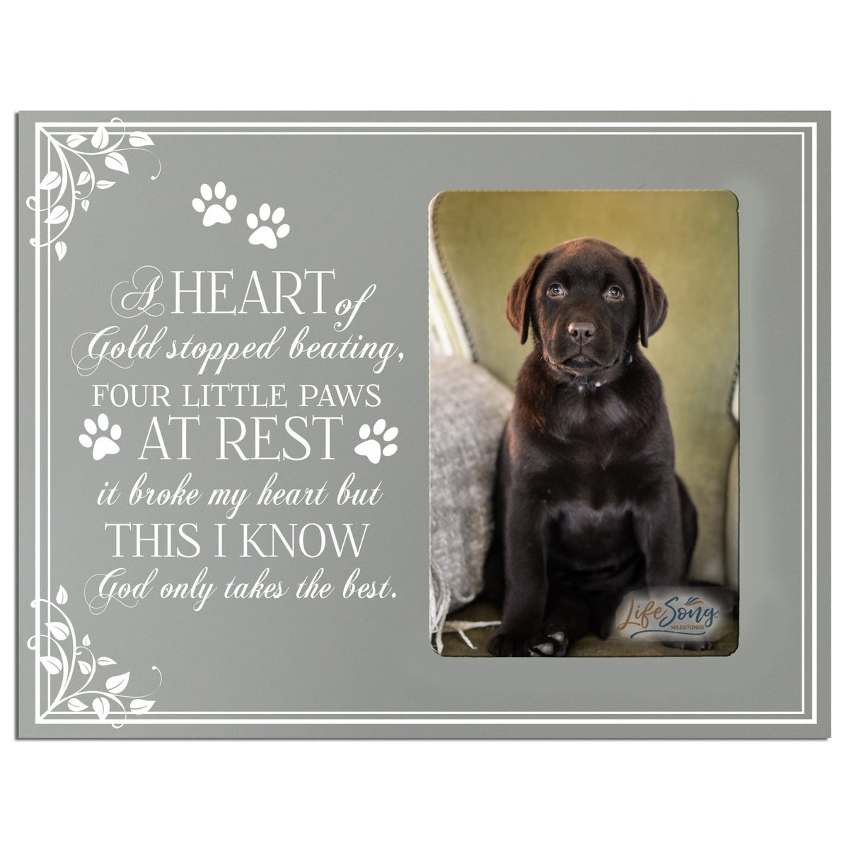 Pet Memorial Picture Frame - A Heart of Gold - LifeSong Milestones