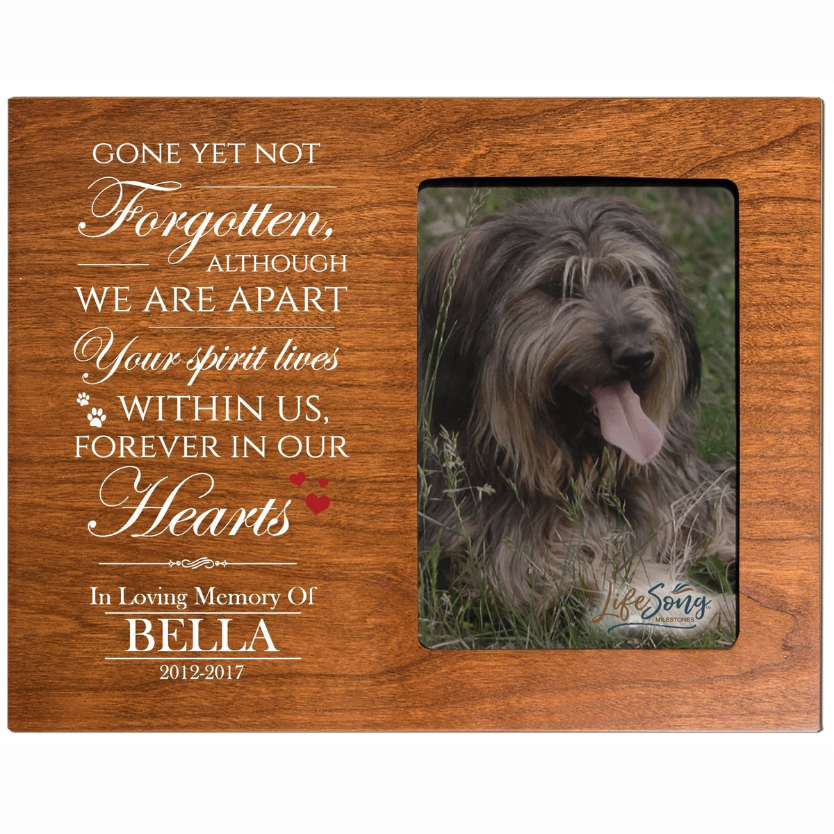 Pet Memorial Picture Frame - Gone Yet Not Forgotten - LifeSong Milestones