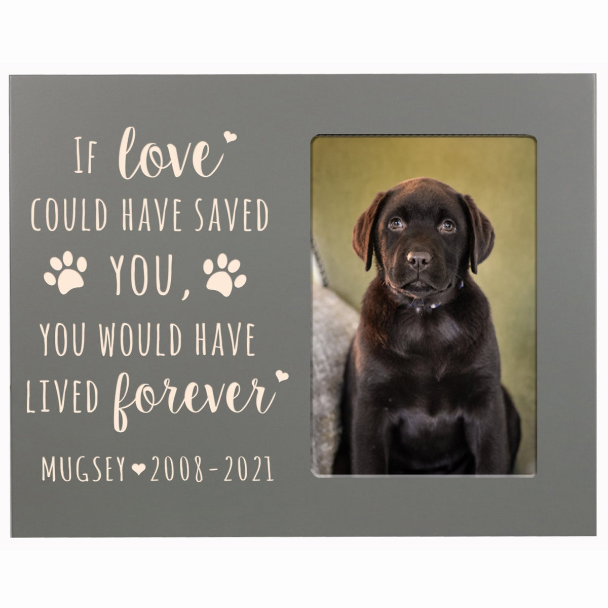 Pet Memorial Picture Frame - If Love Could Have Saved You - LifeSong Milestones