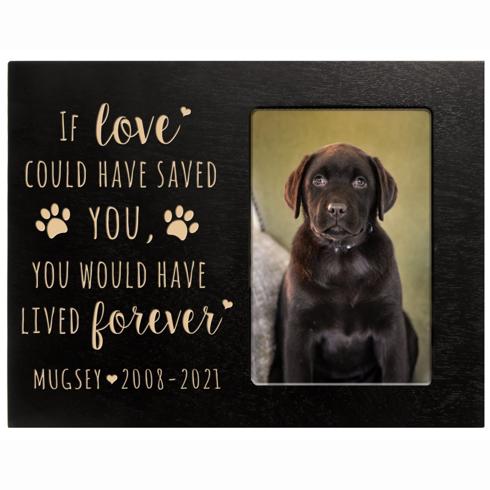 Pet Memorial Picture Frame - If Love Could Have Saved You - LifeSong Milestones
